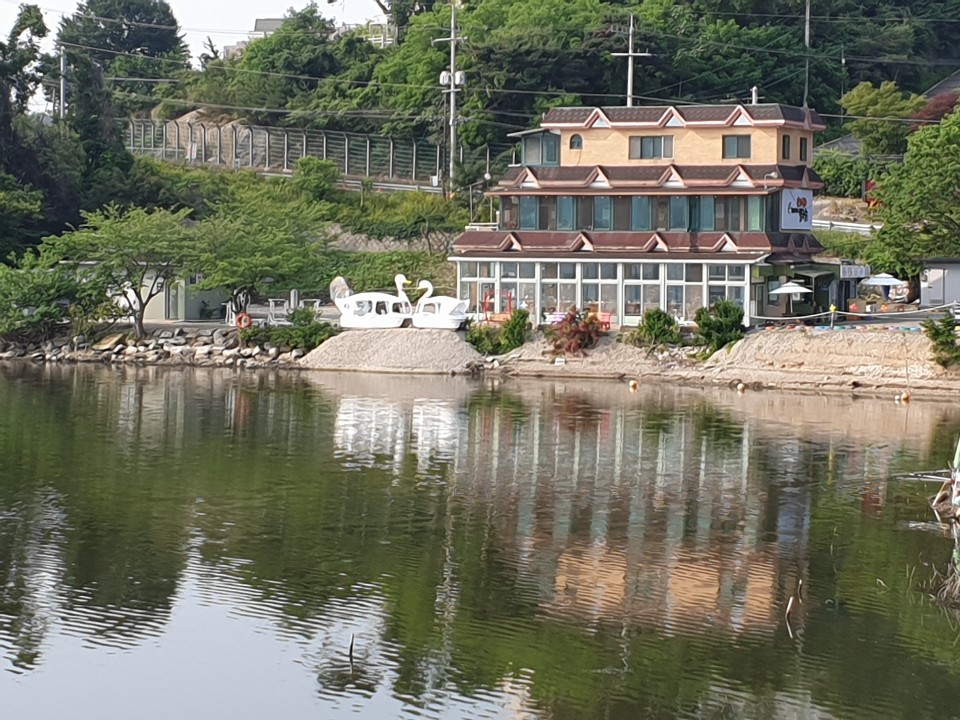 강화원조칼국수