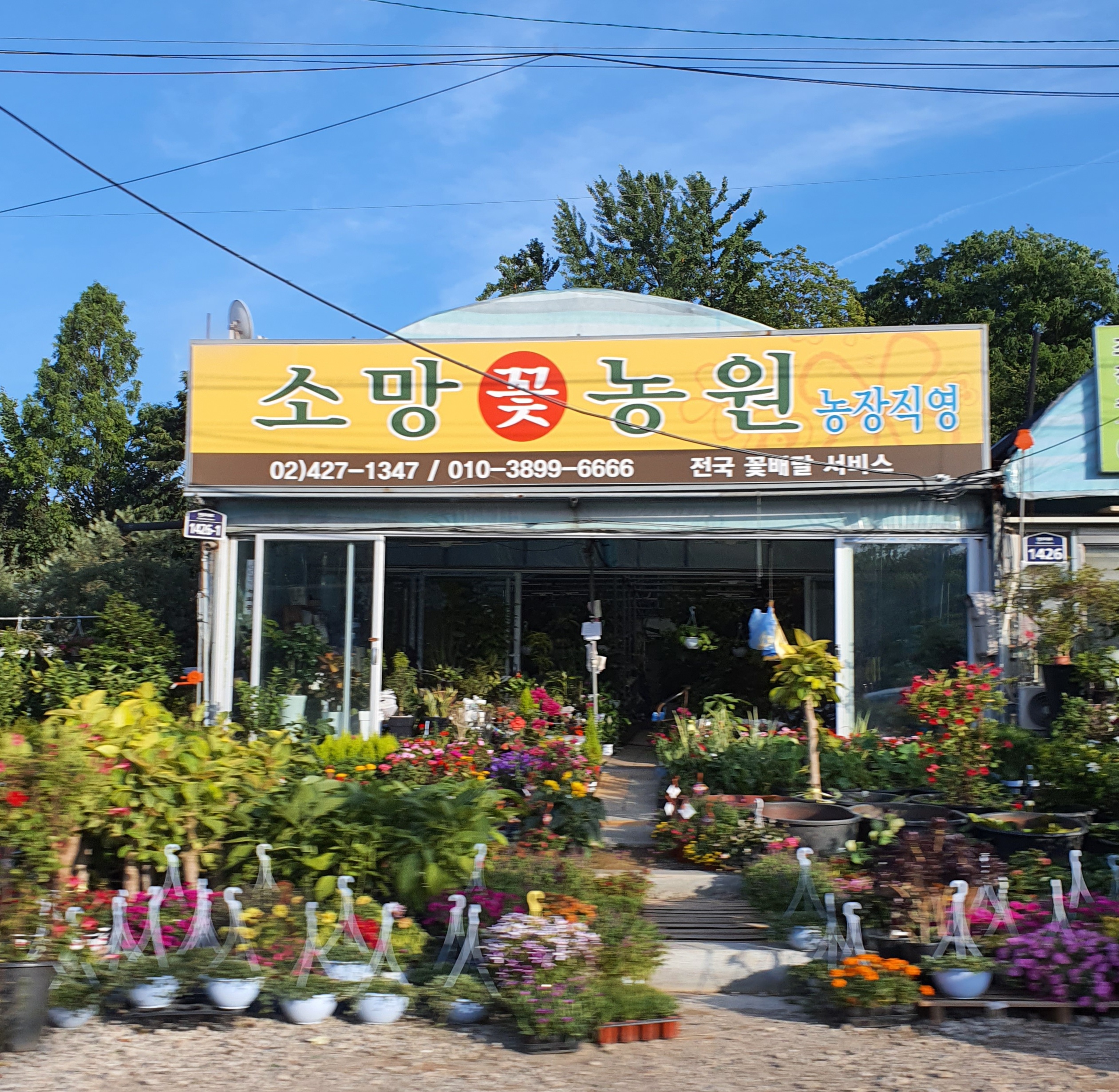 소망꽃농원
