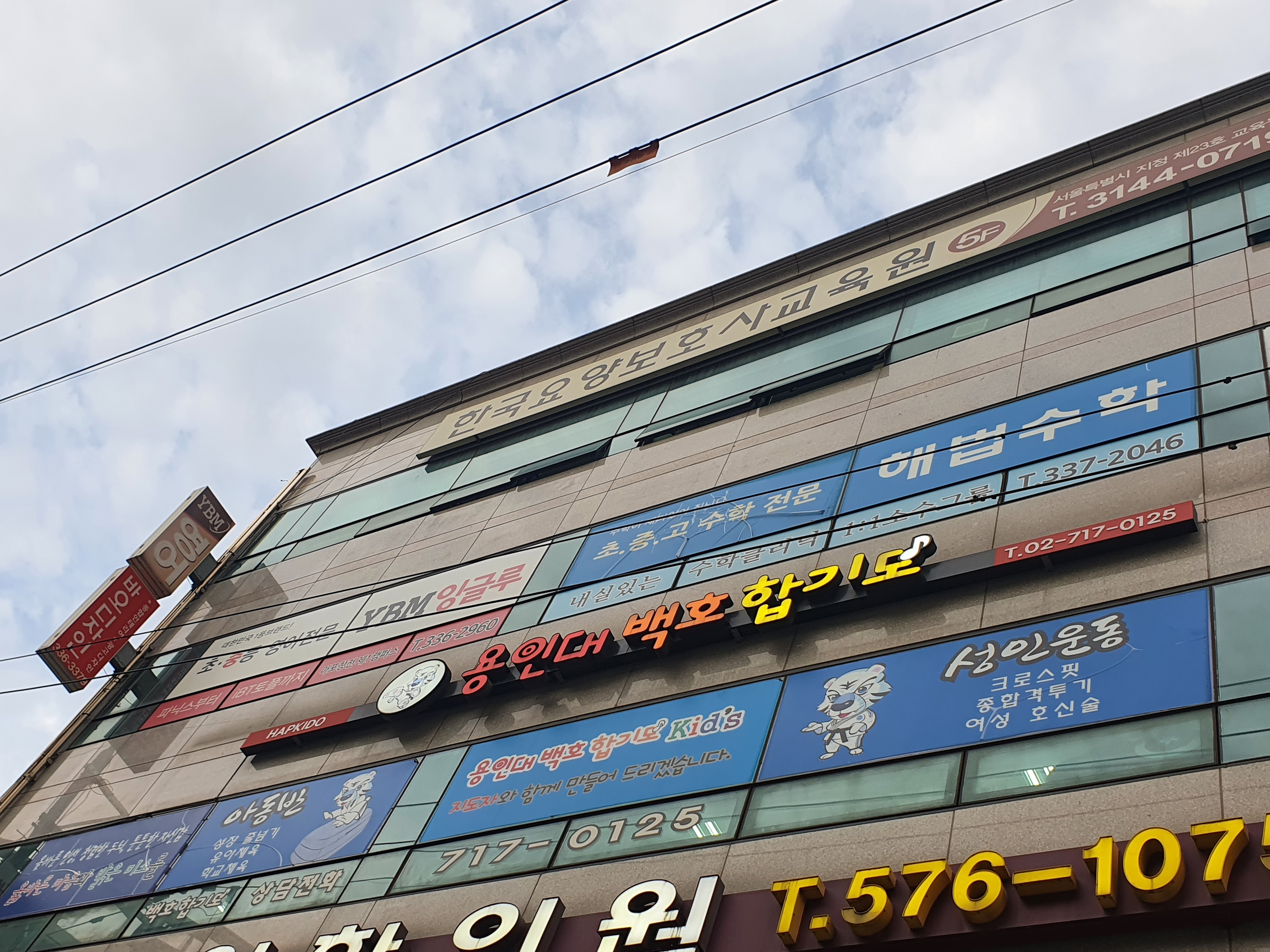 용인대백호합기도 대표 이미지