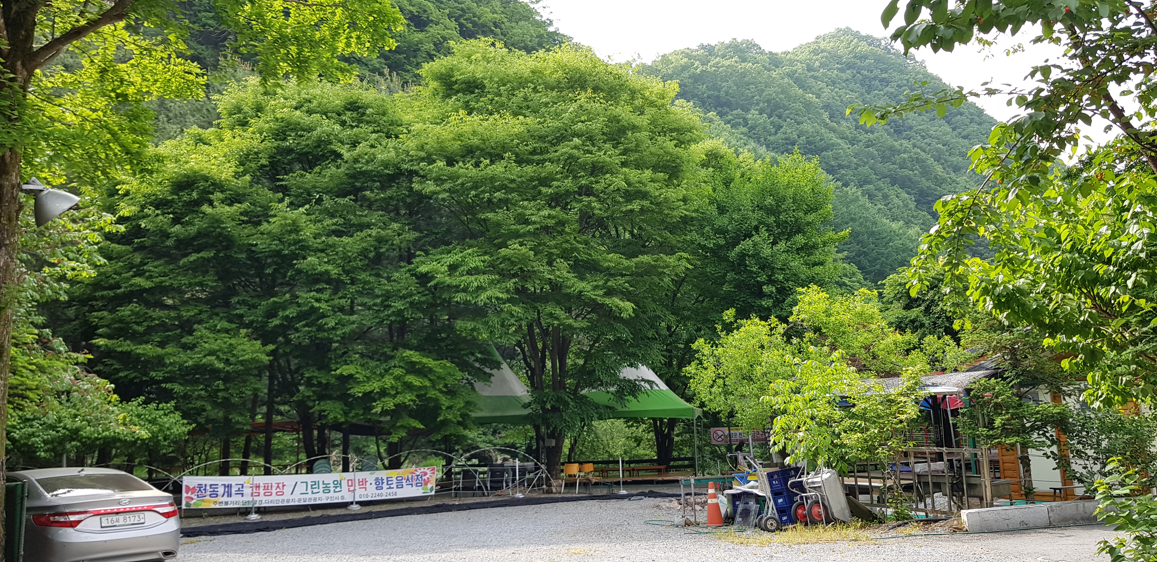 단양천동계곡캠핑장 그린농원