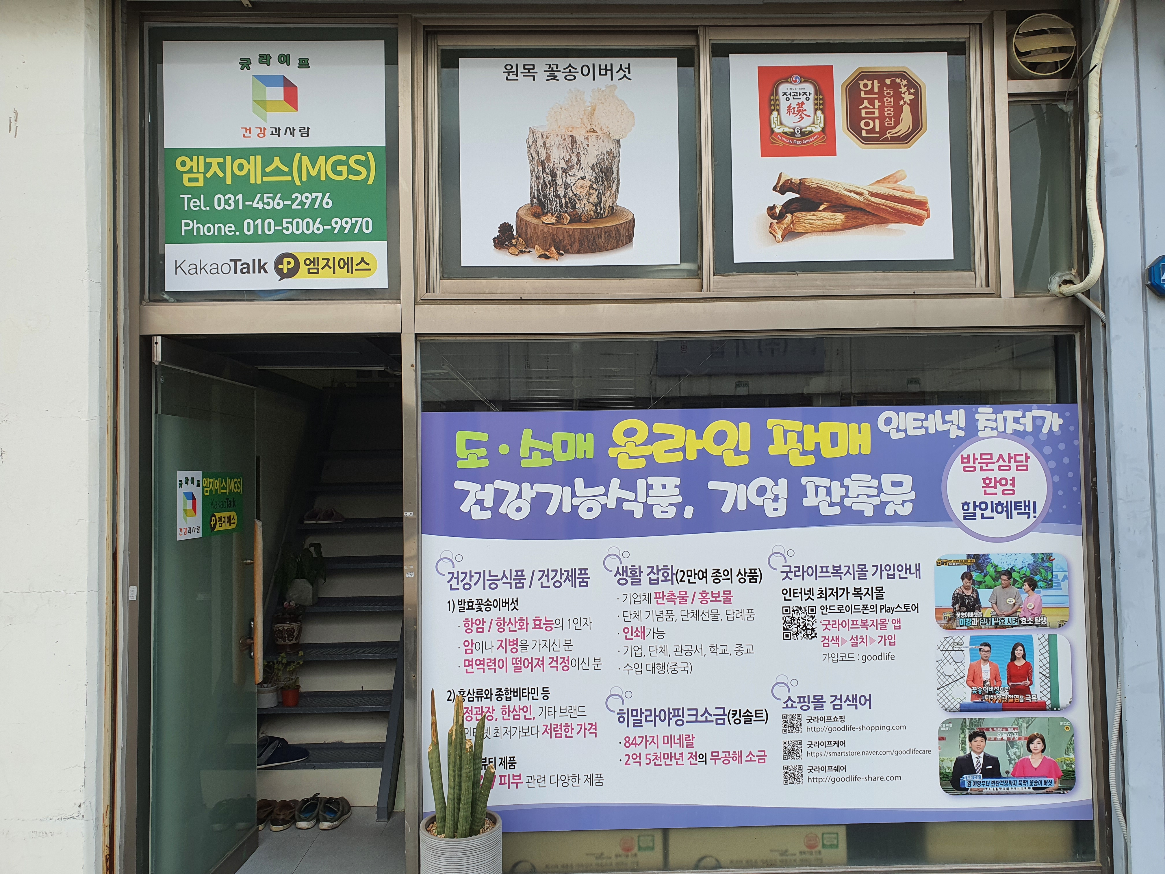 엠지에스