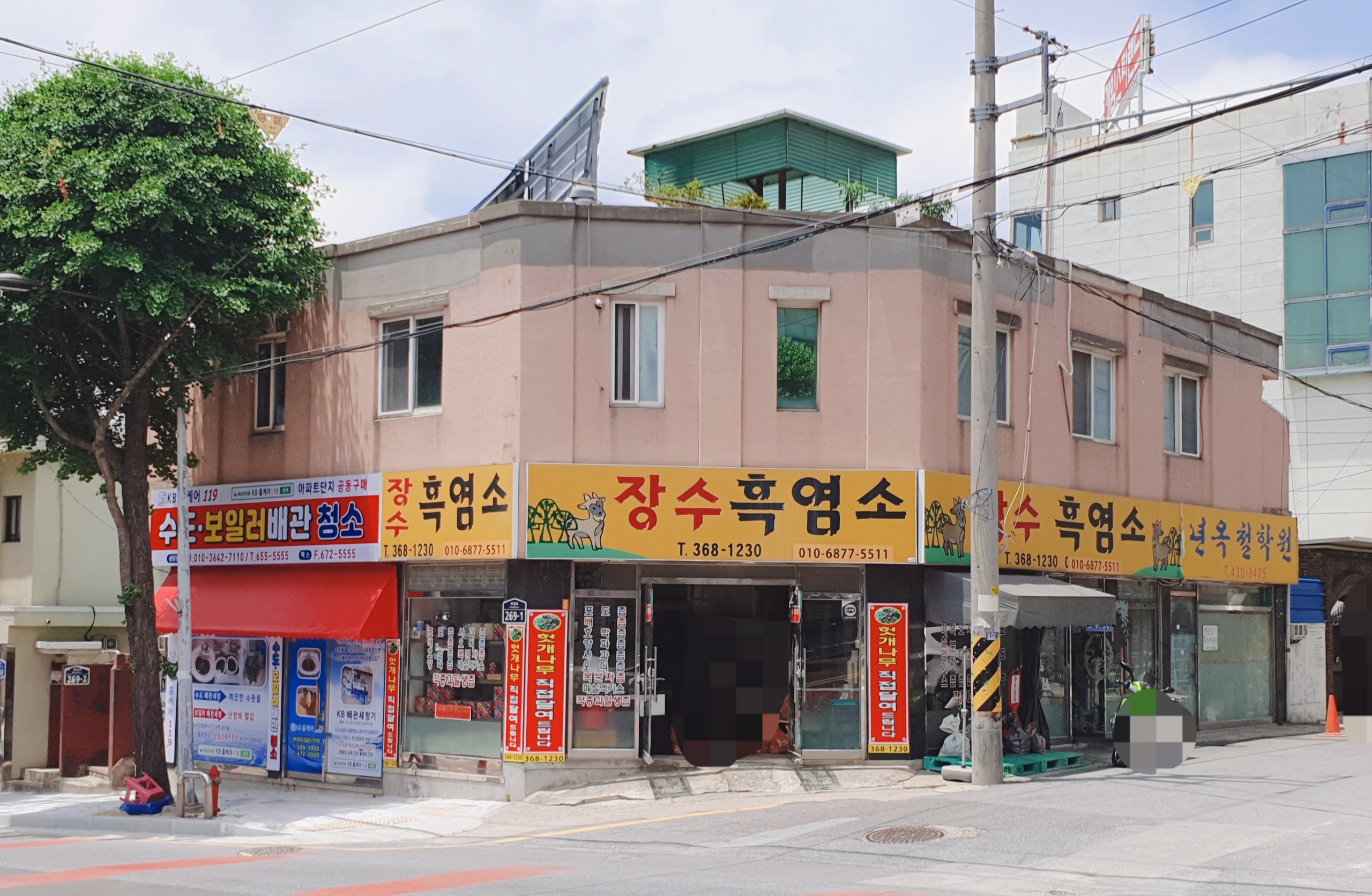 장수흑염소
