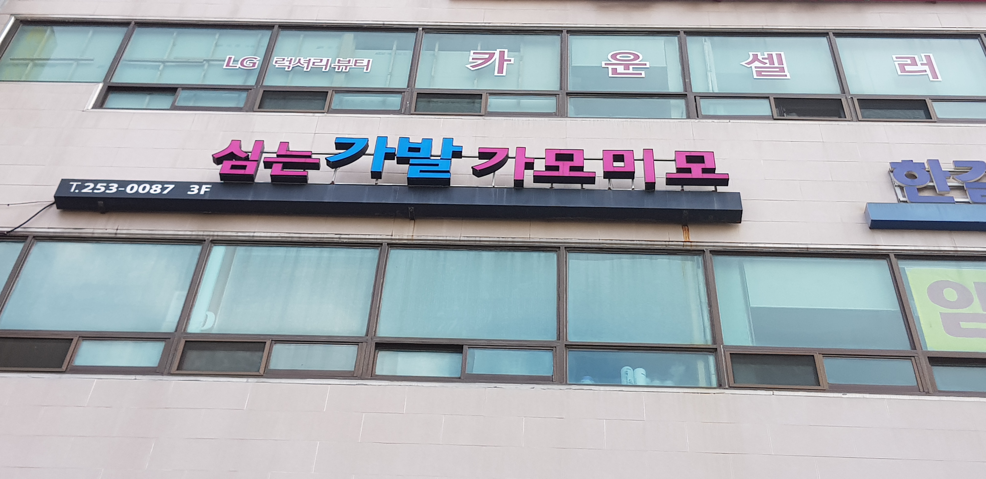 가모미모