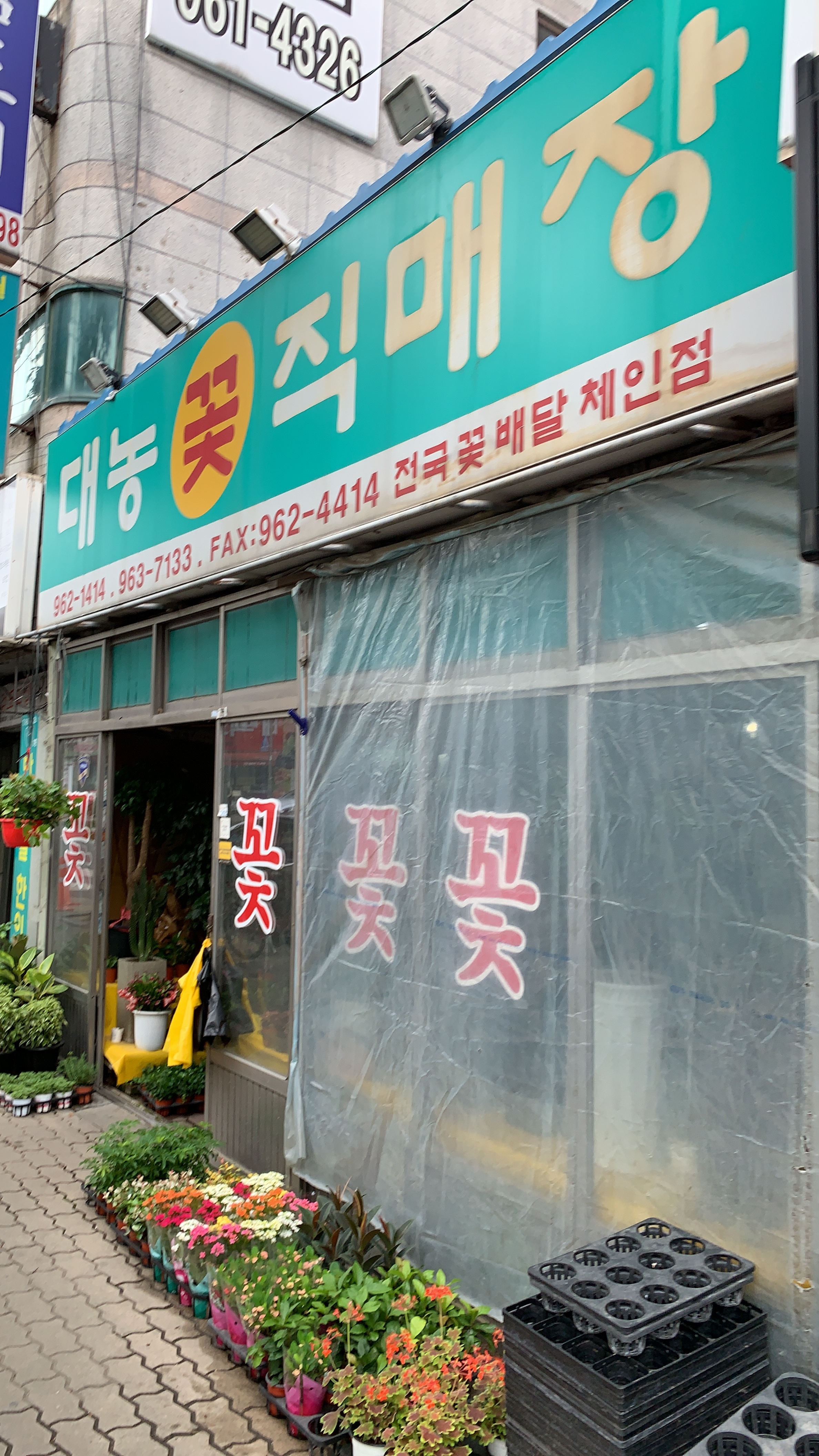 대농꽃직매장