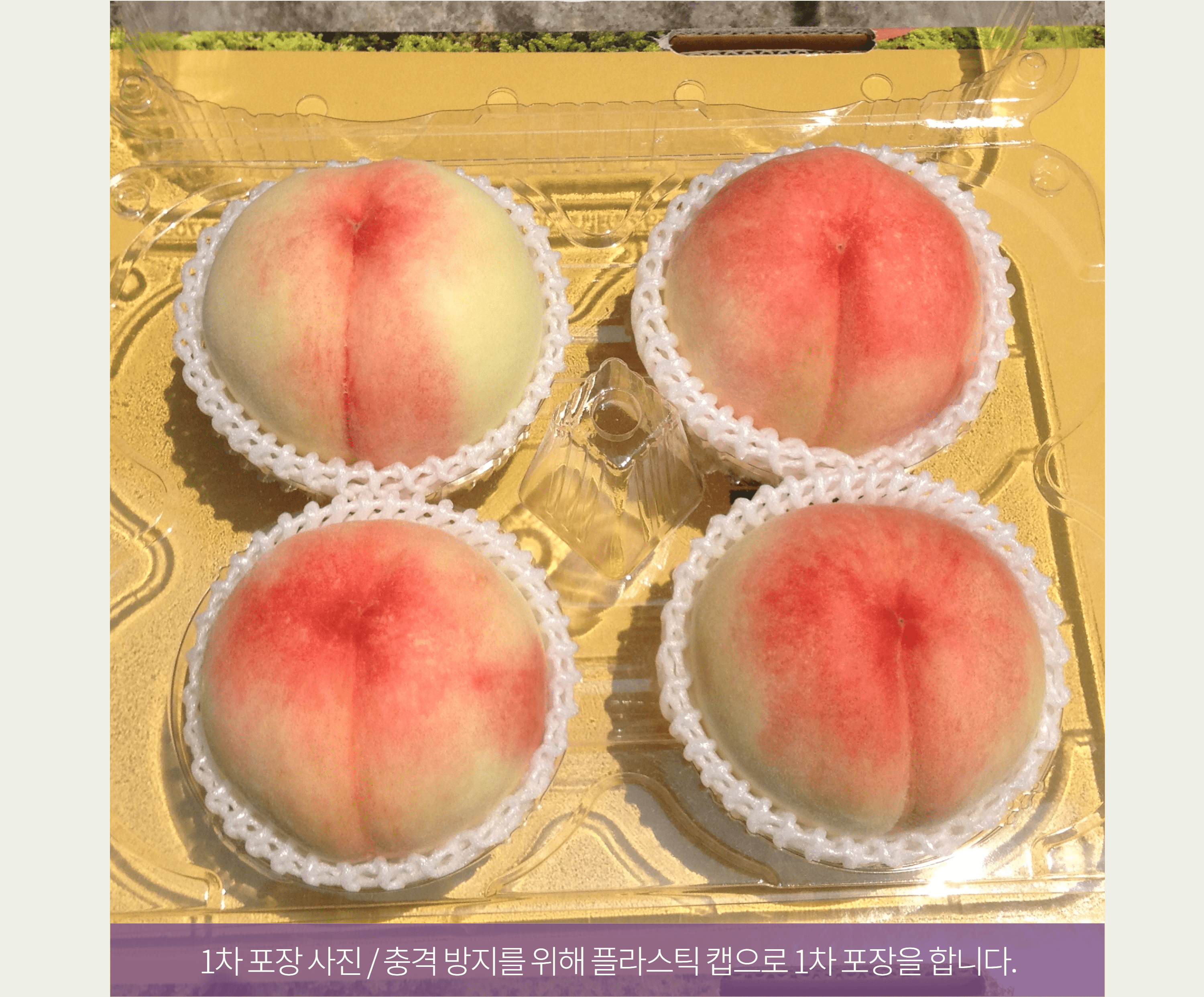 이언농장