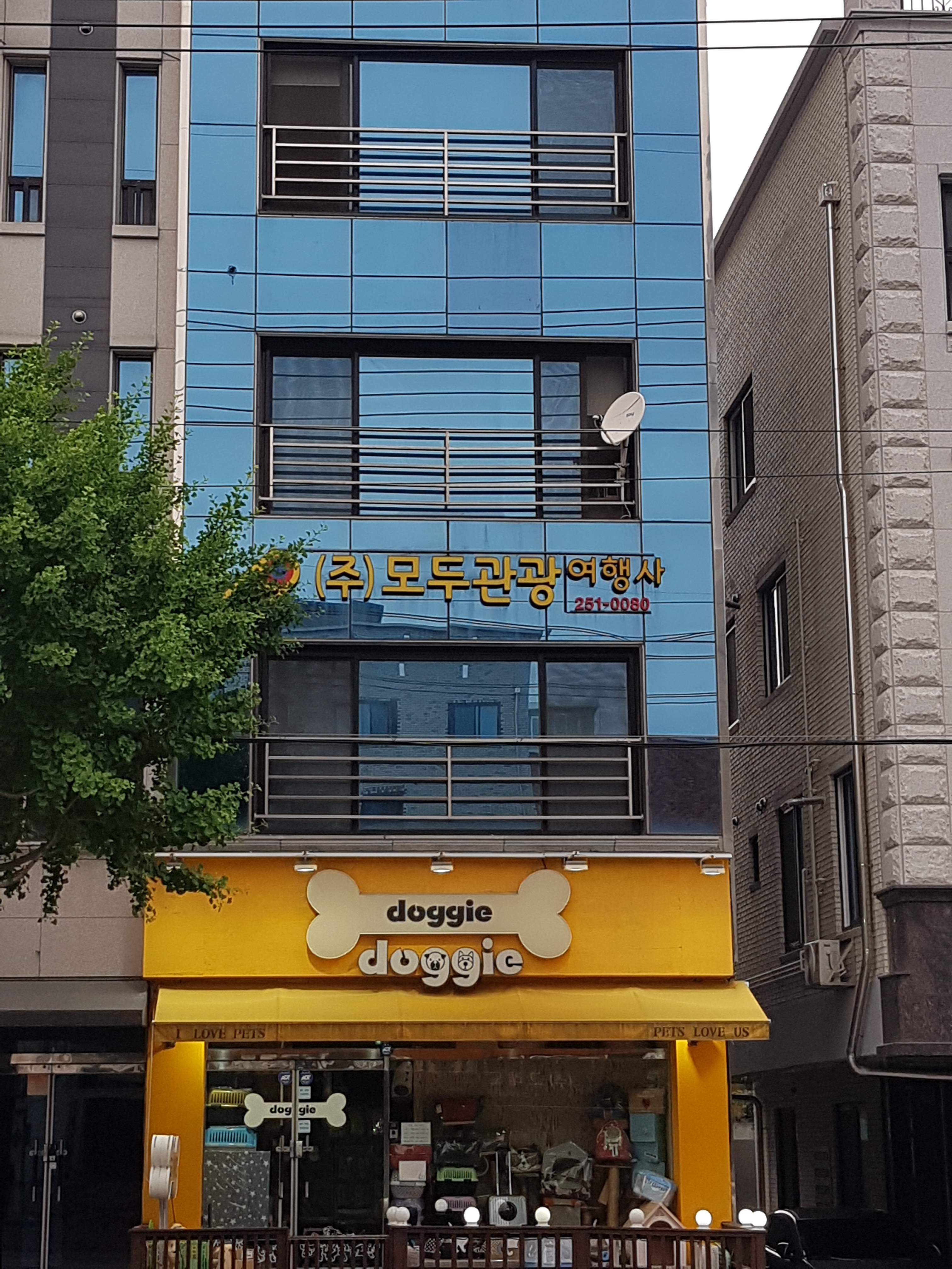 모두관광여행사