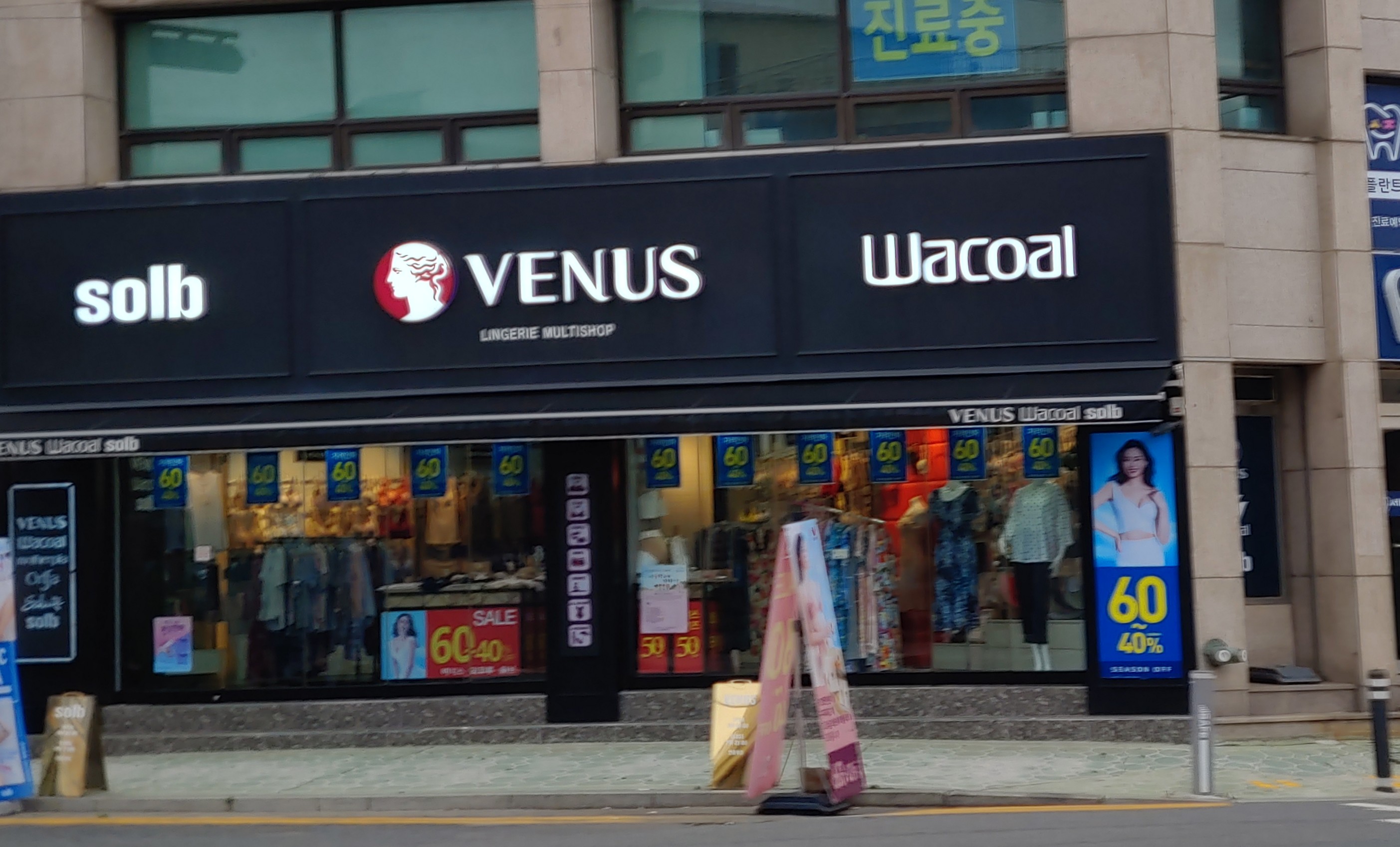 비너스 와코루 솔브 보령직매장