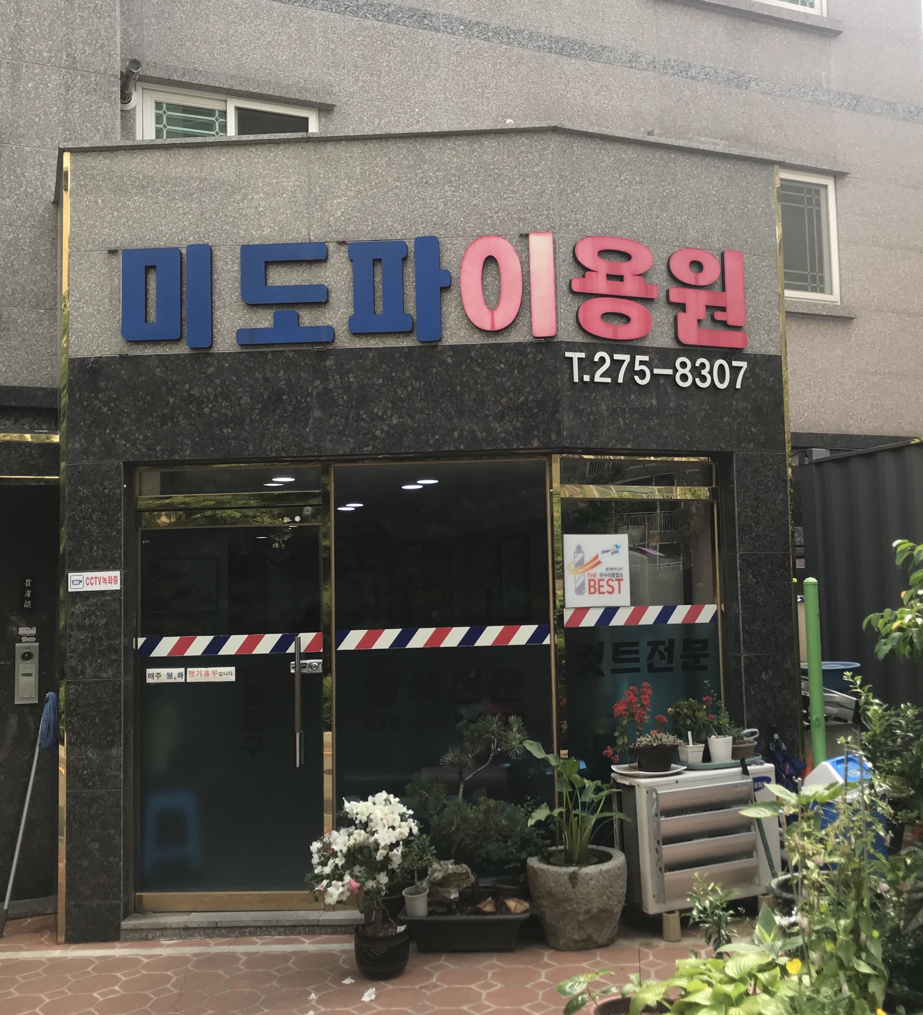 미도파이용원