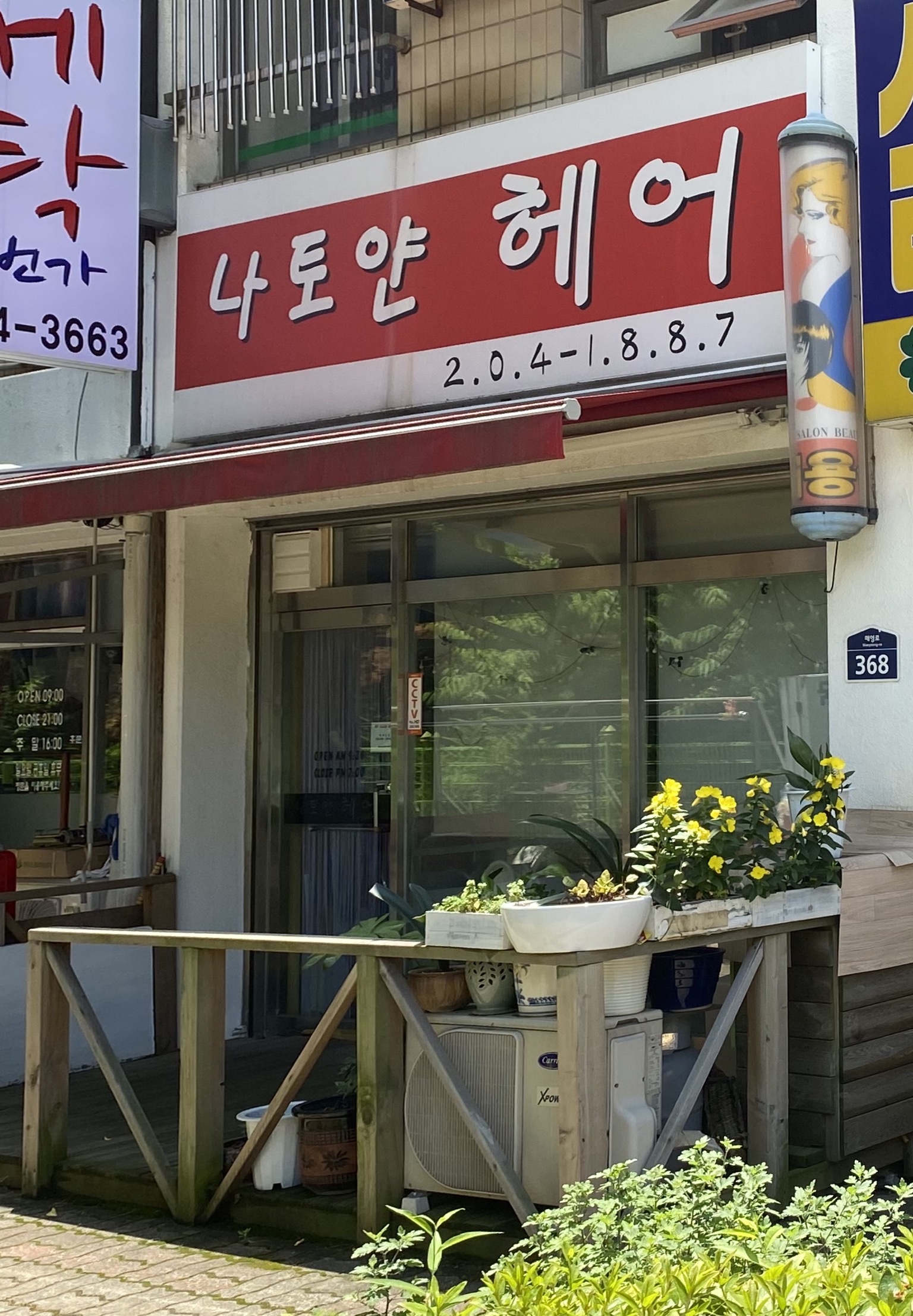 나토얀헤어크리닉