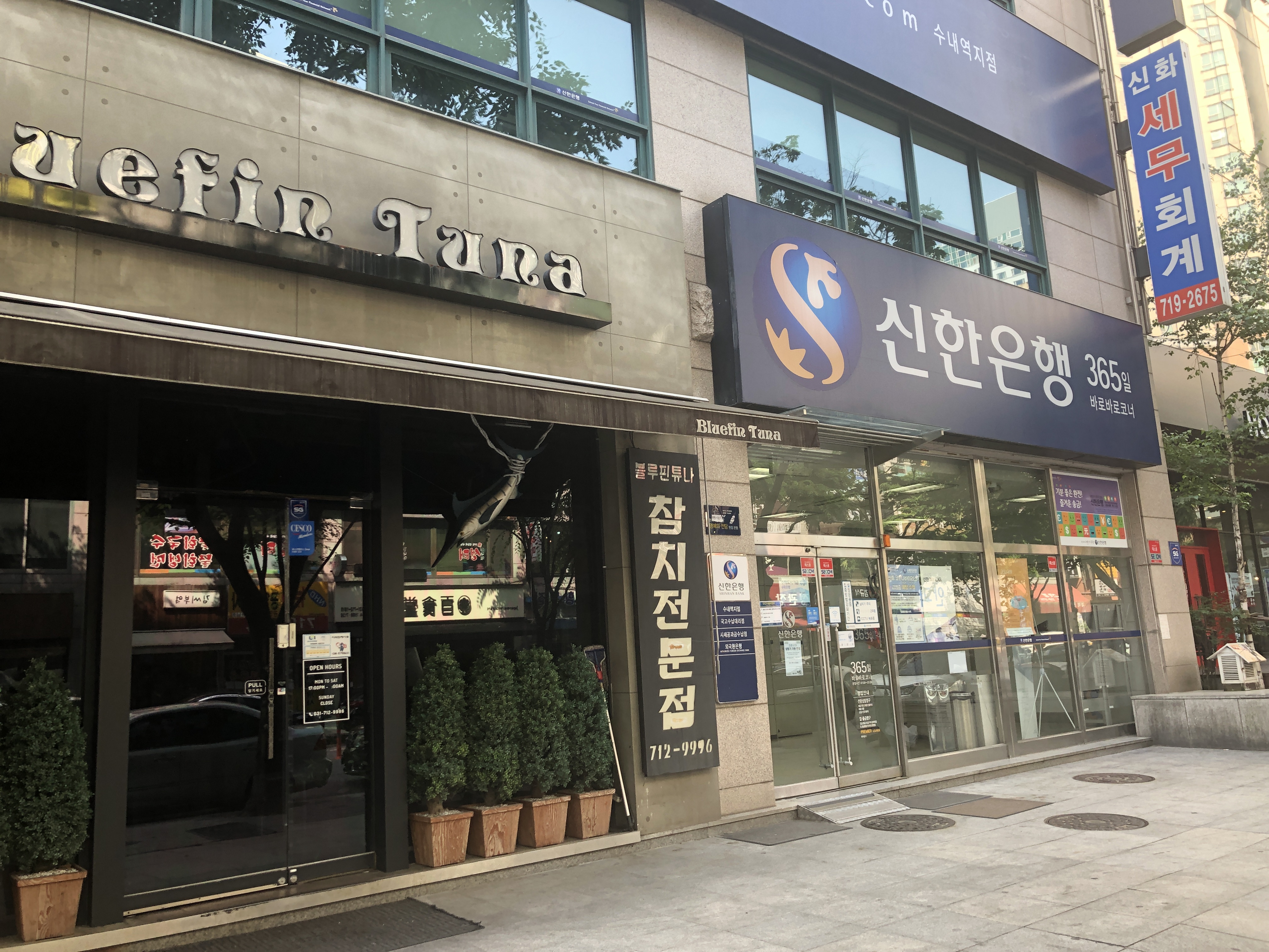 블루핀튜나