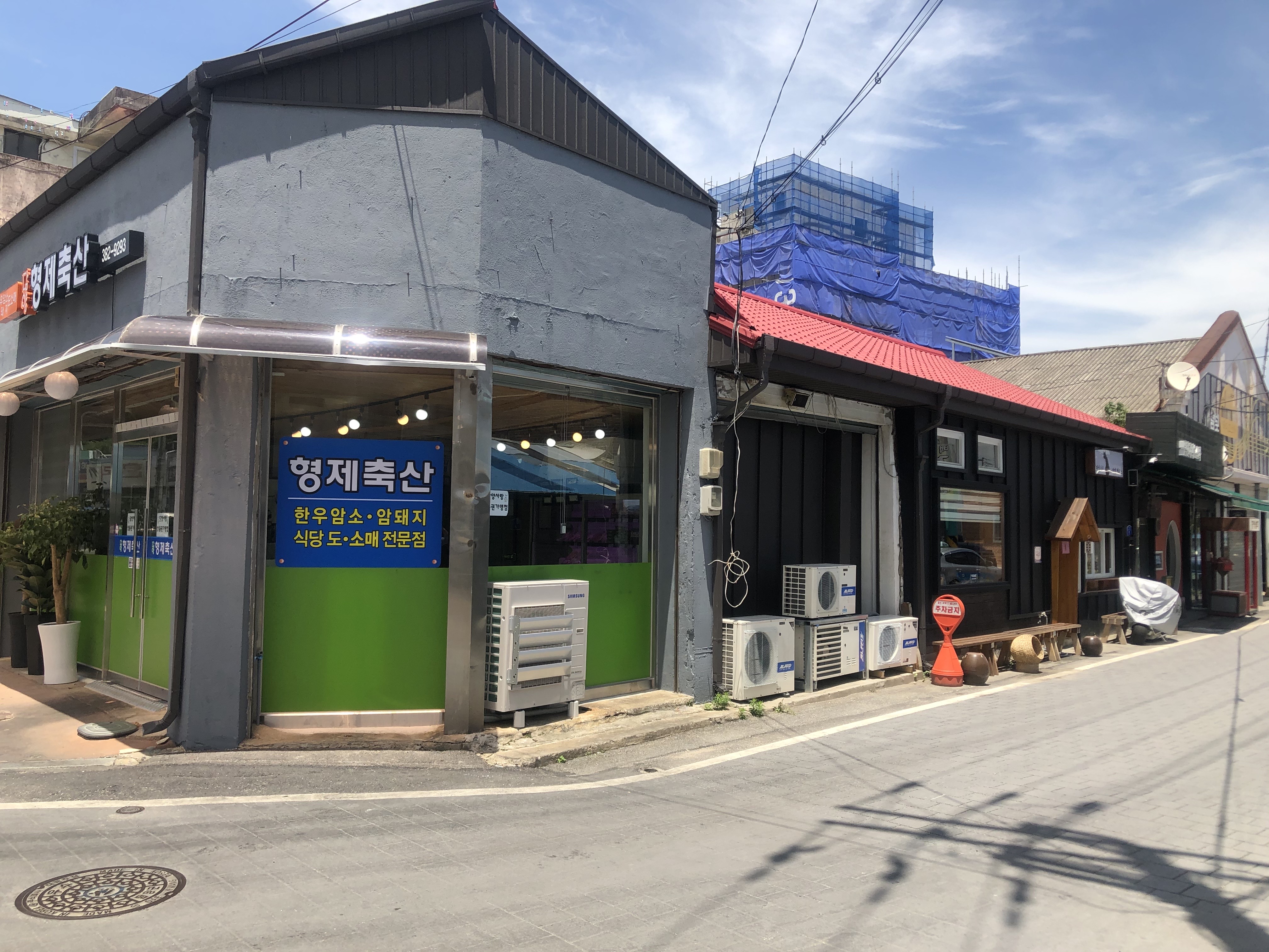 마실나온고양이 대표 이미지