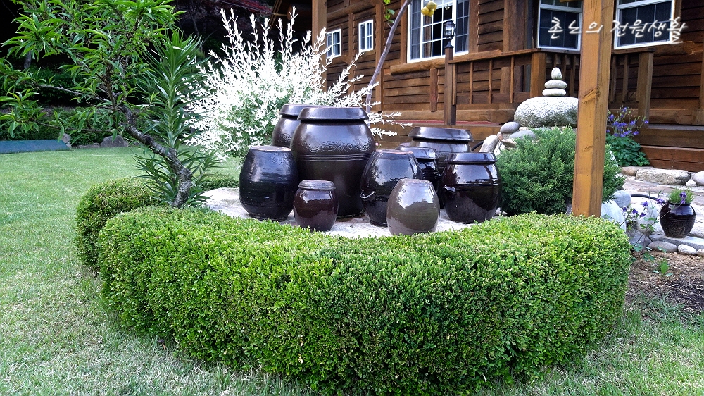 촌노의 정원