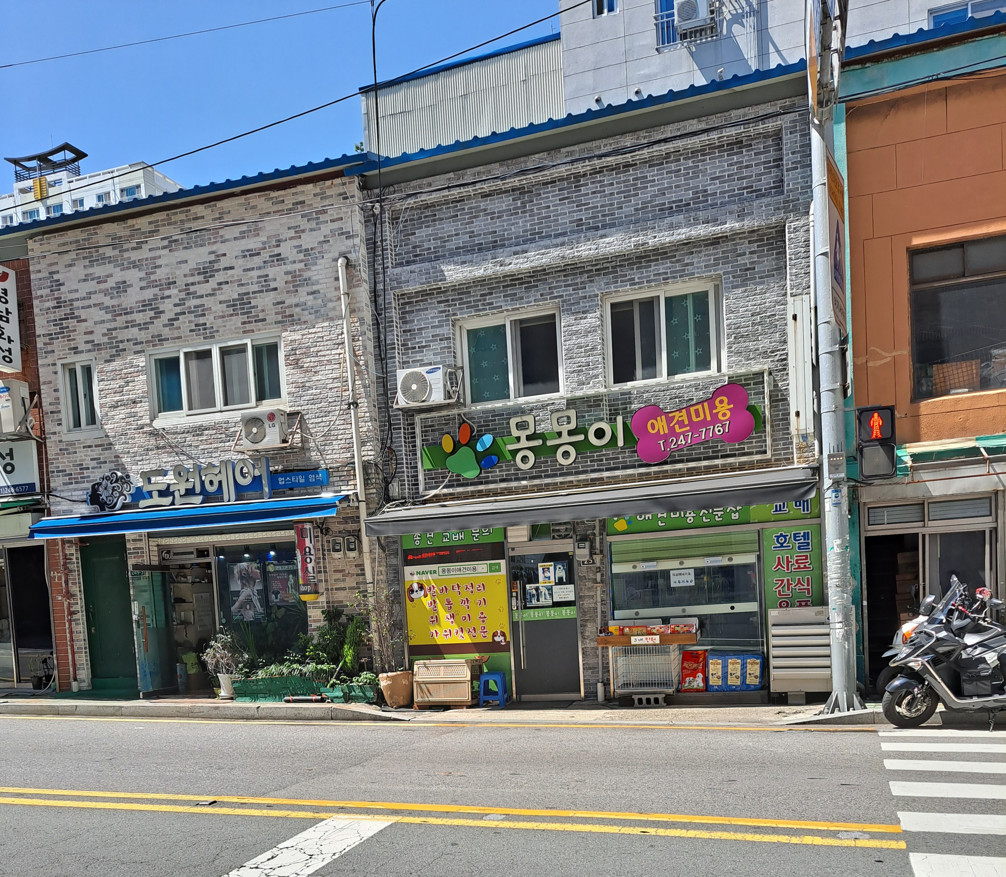 몽몽이애견미용 대표 이미지