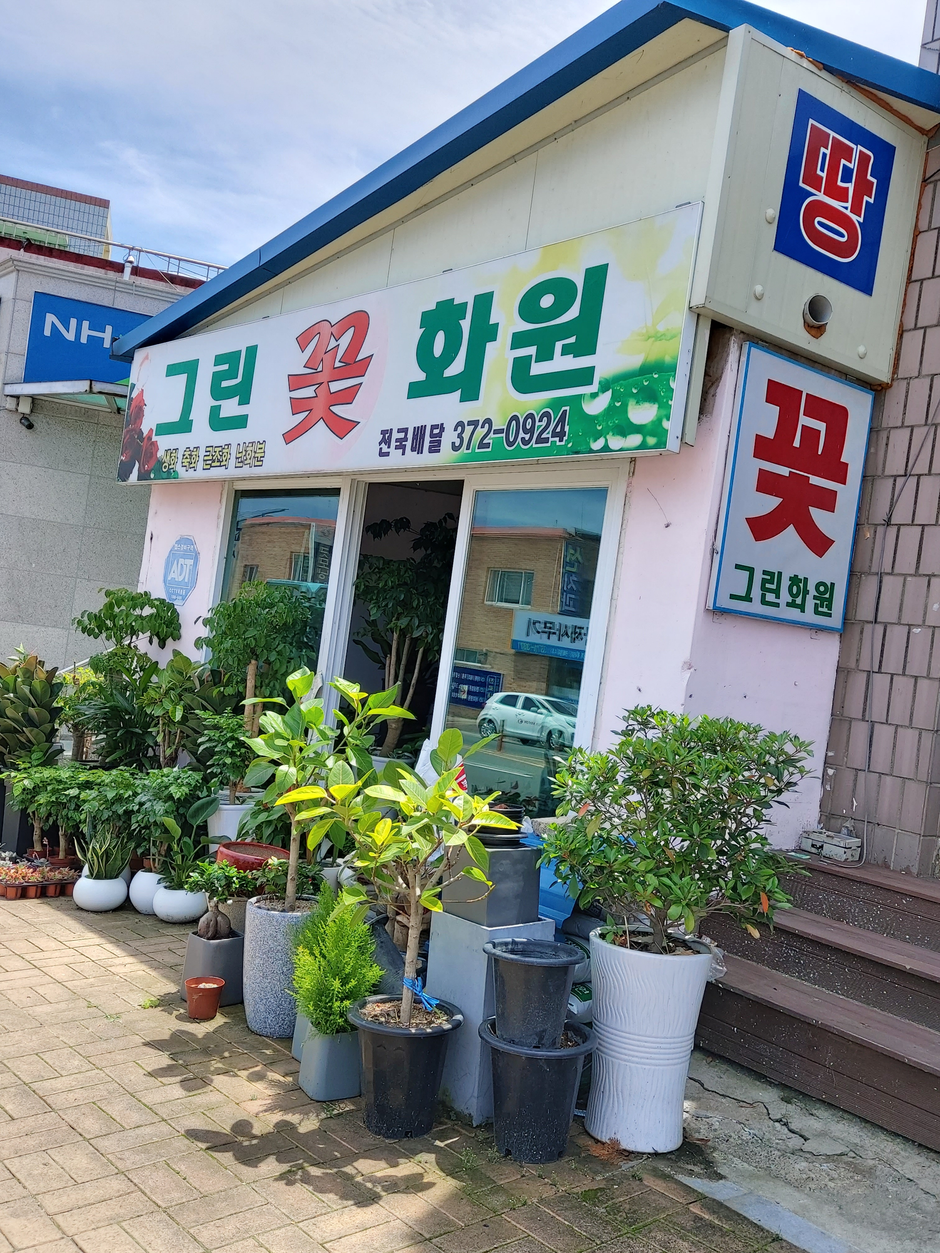 그린꽃화원