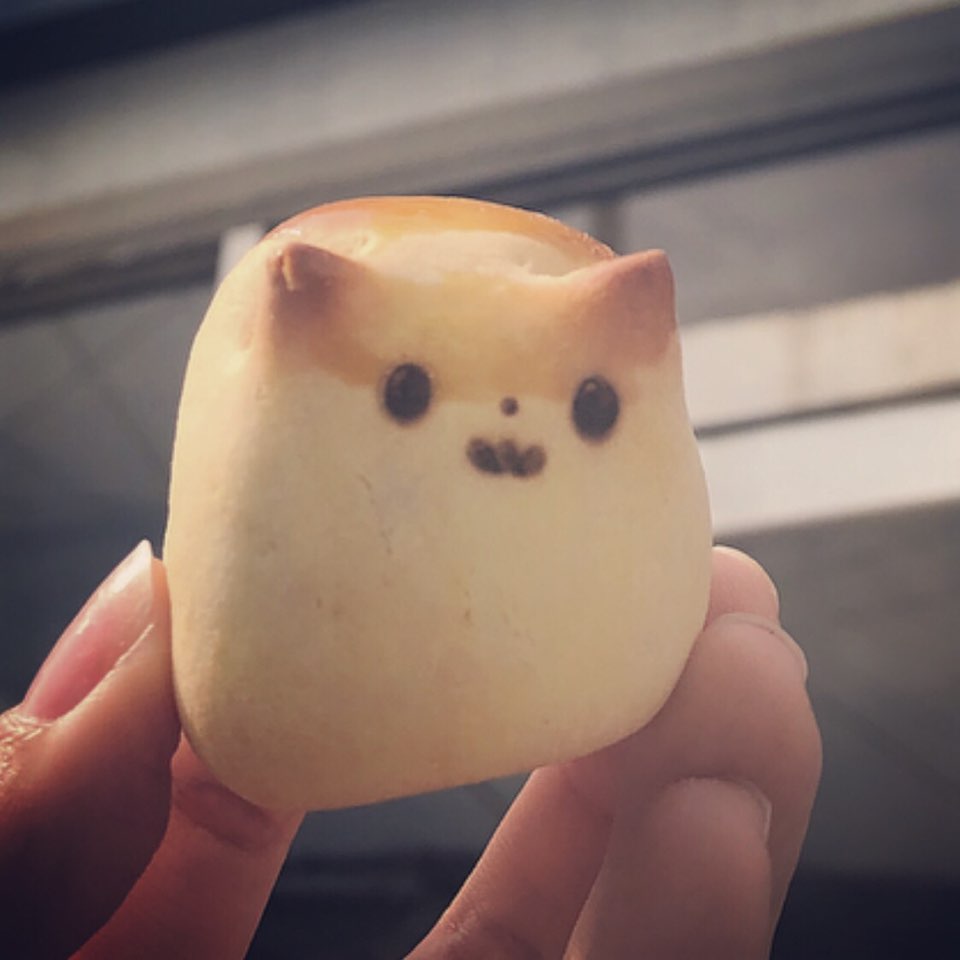 카페도캐 반려동물 동반 애견카페
