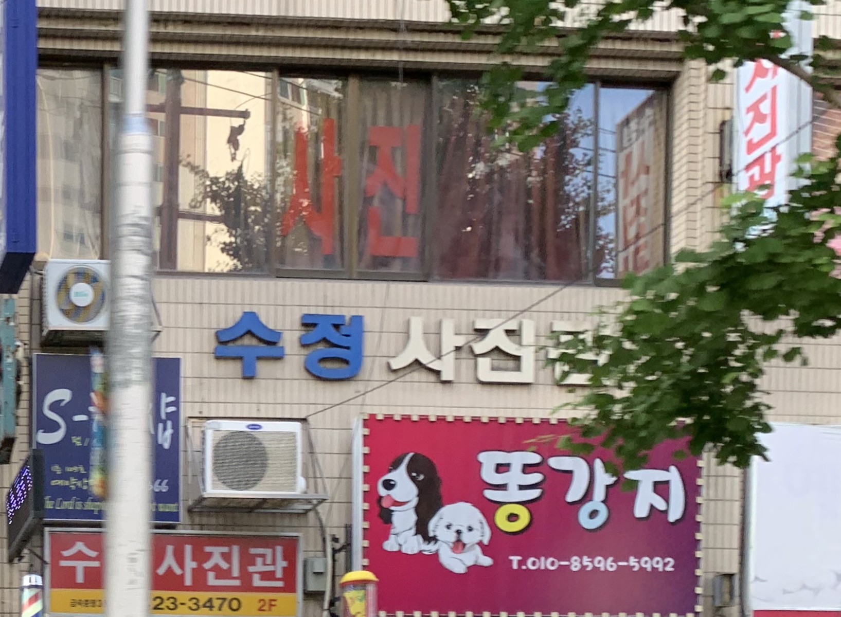 수정기획