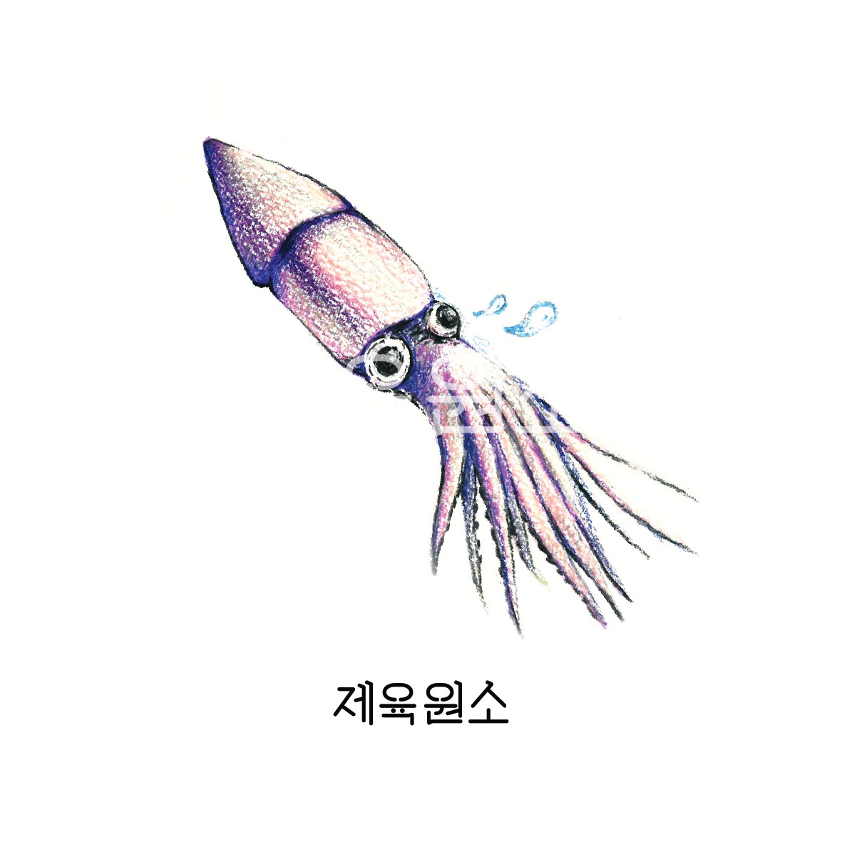 제육원소