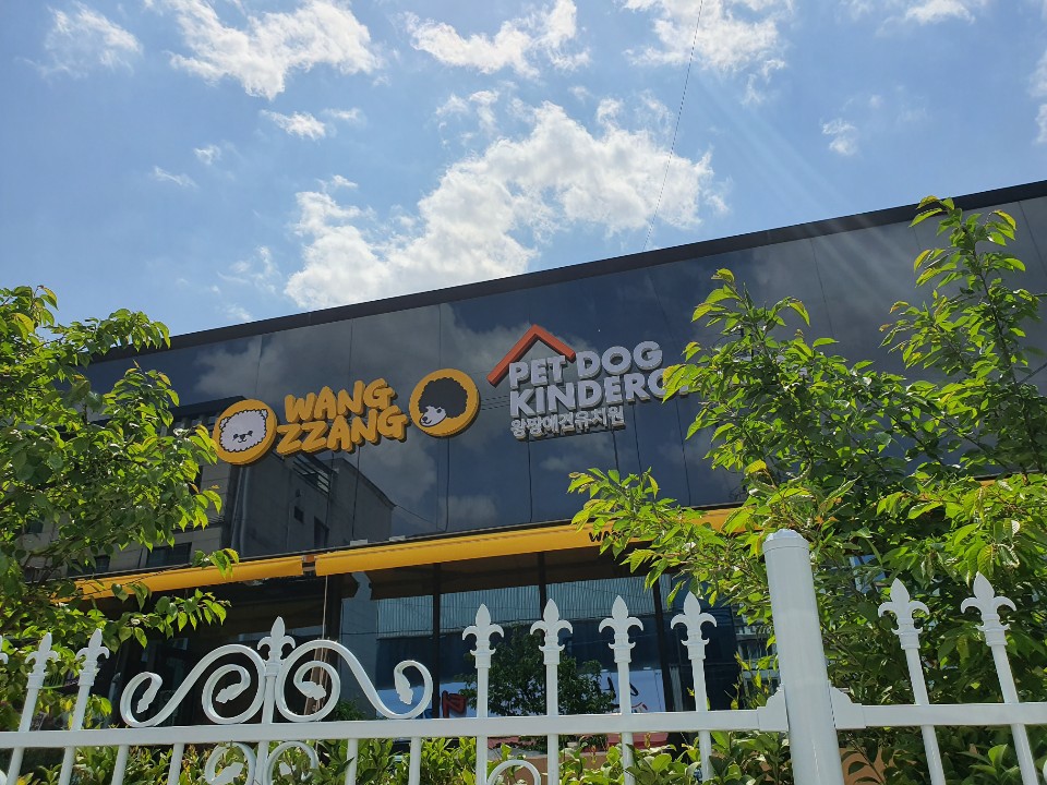 왕짱애견유치원 대표 이미지