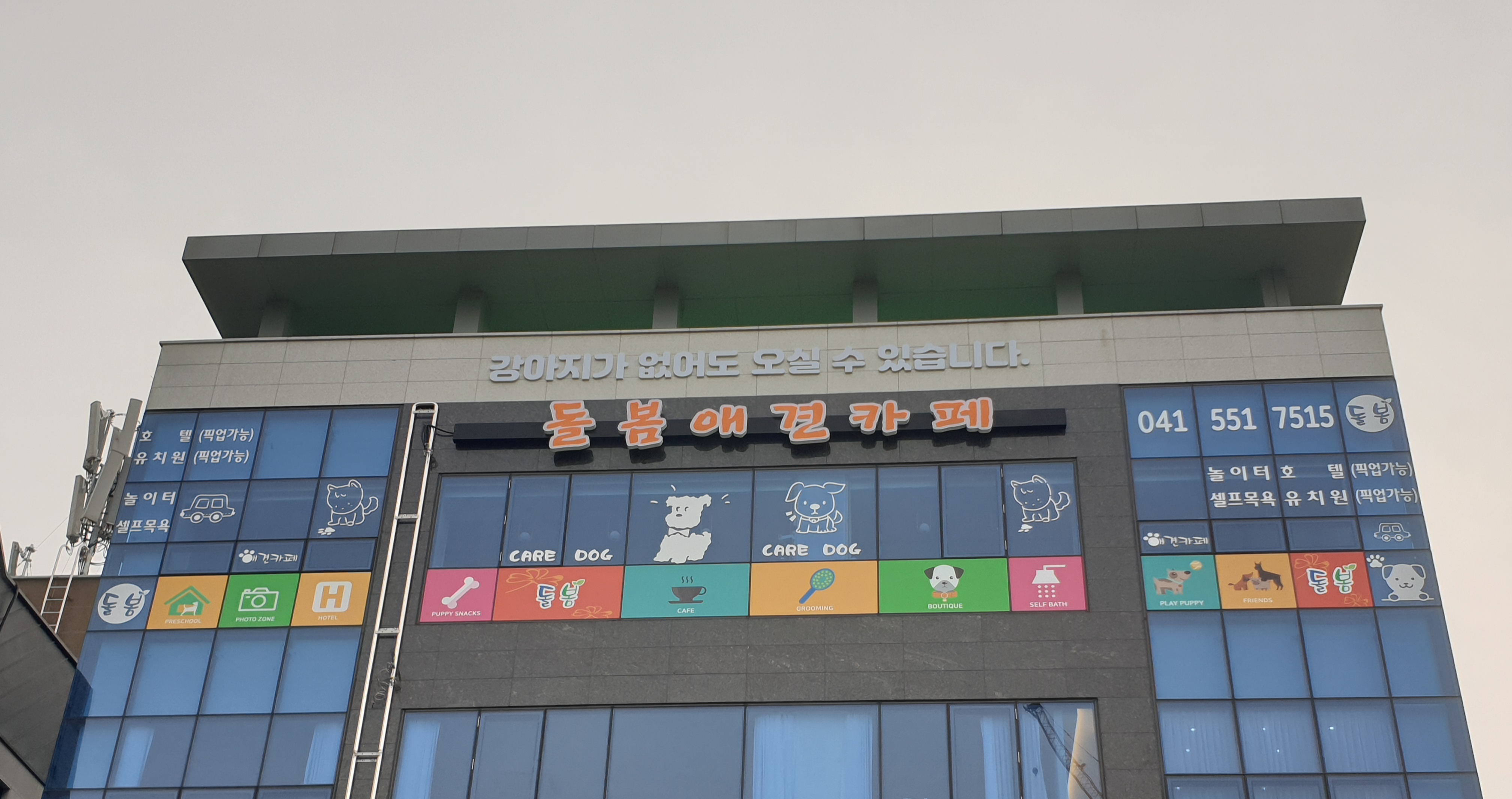 돌봄 애견카페 대표 이미지