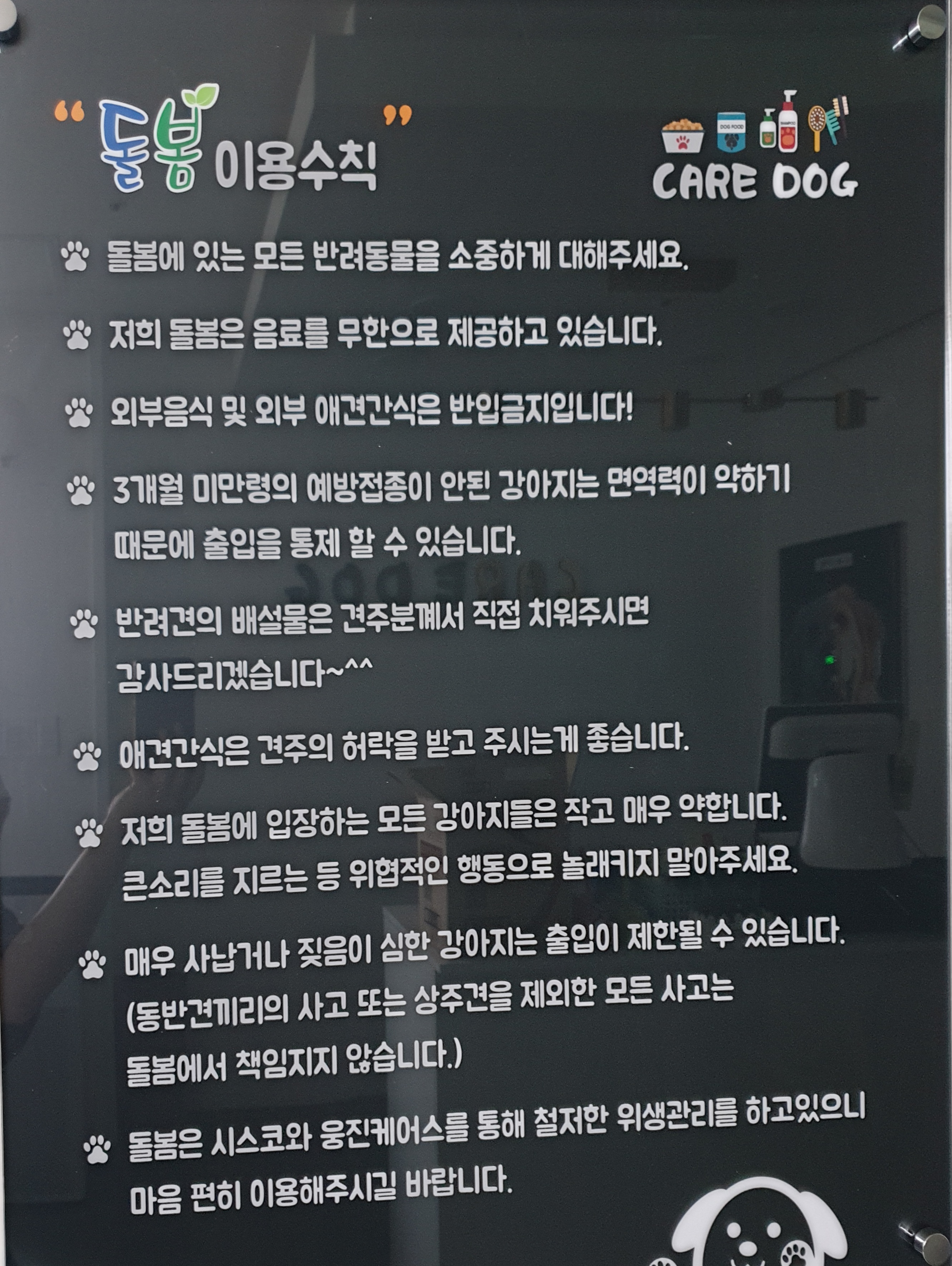 돌봄 애견카페 대표 이미지