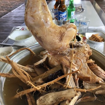 천리향