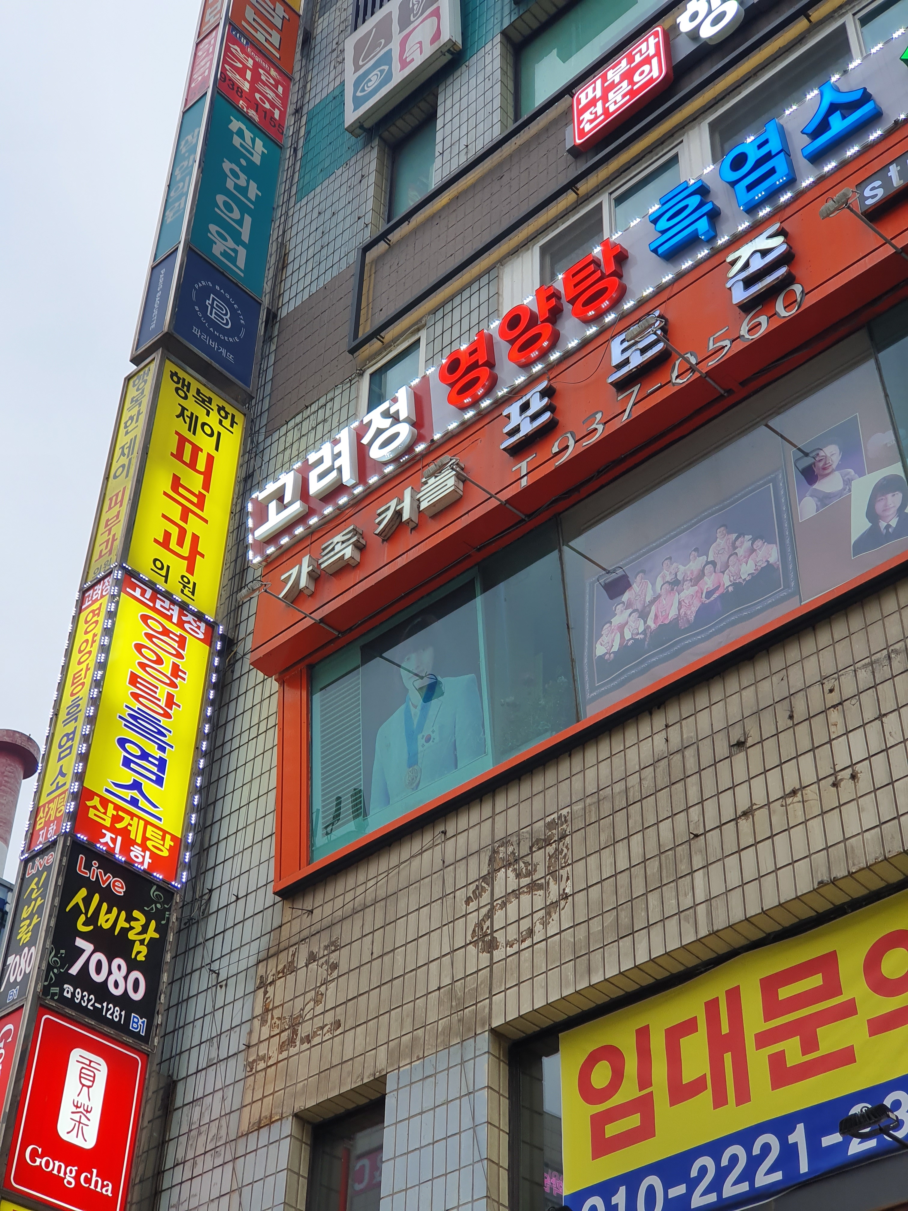 고려정흑염소