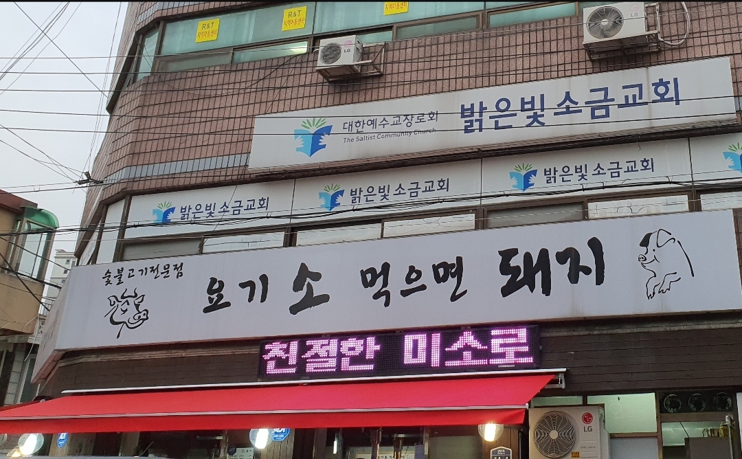 요기소먹으면돼지 대표 이미지