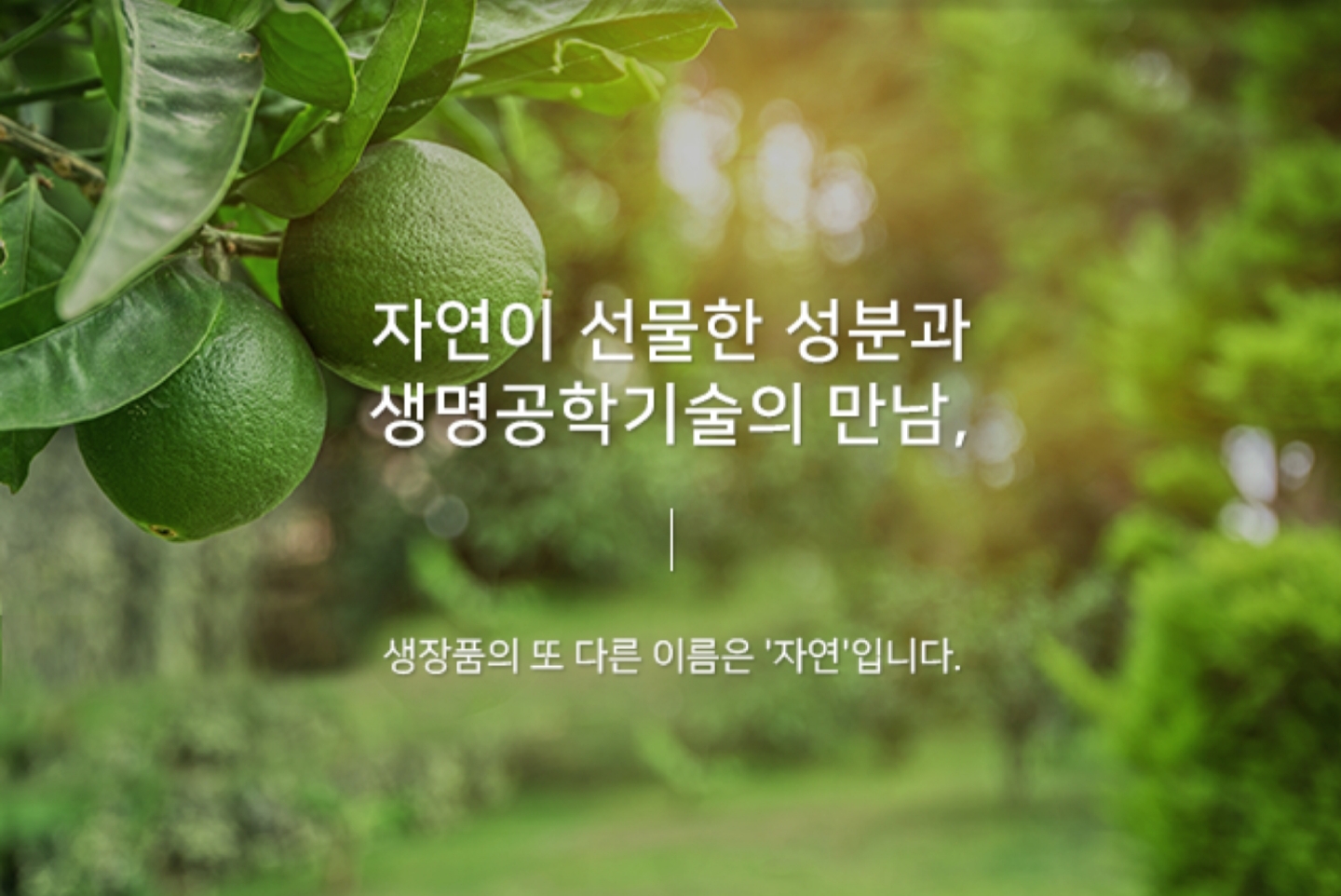 미애부 목포산정점