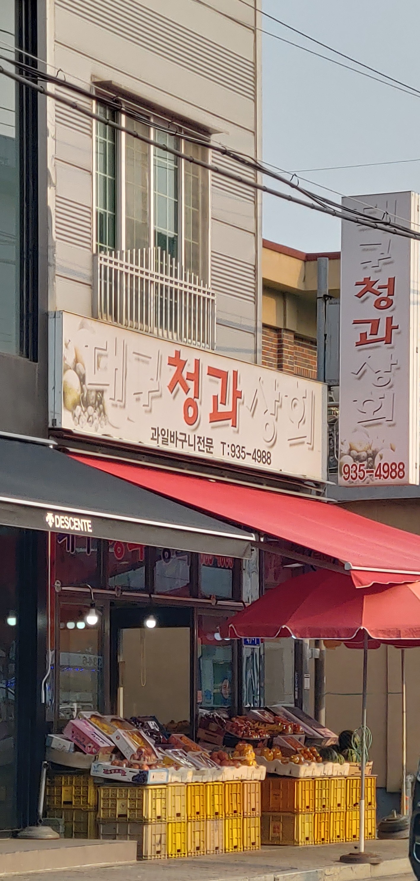 대구청과상회