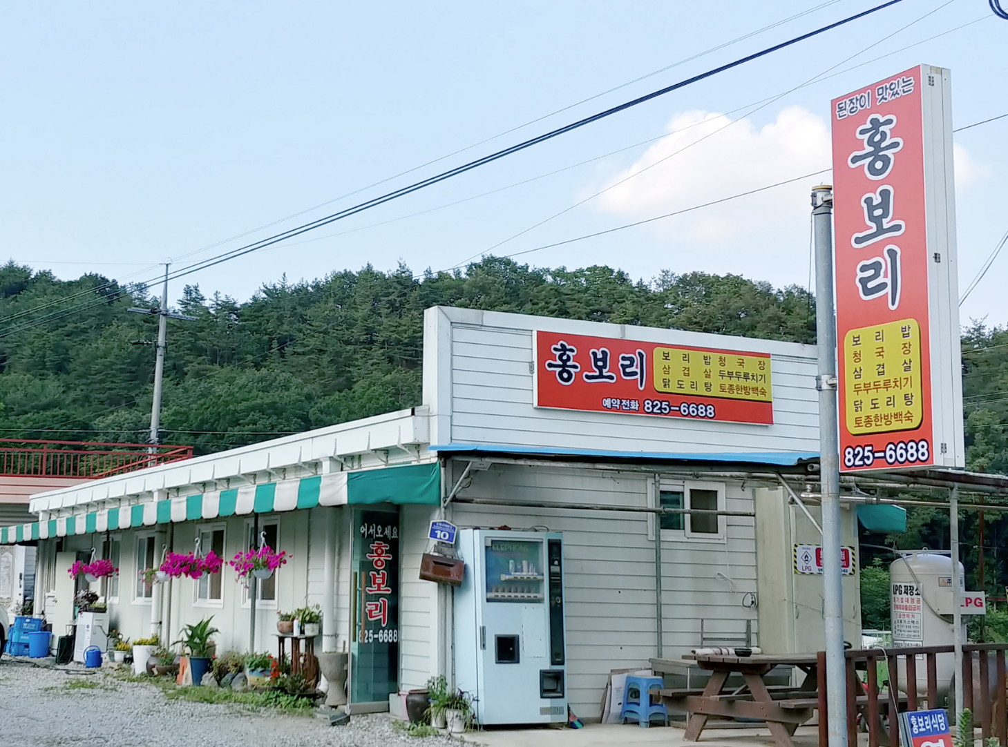 홍보리