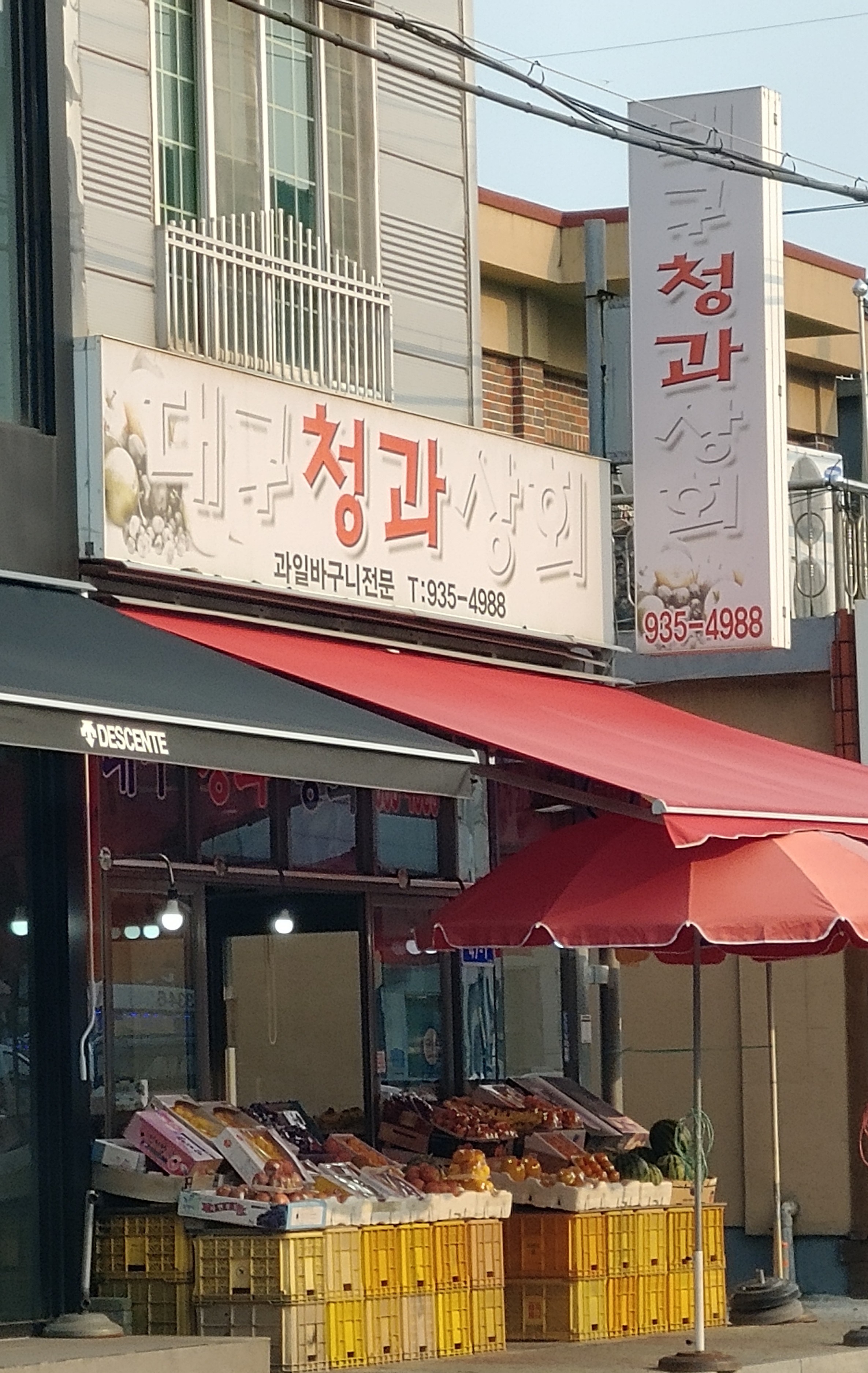 대구청과상회