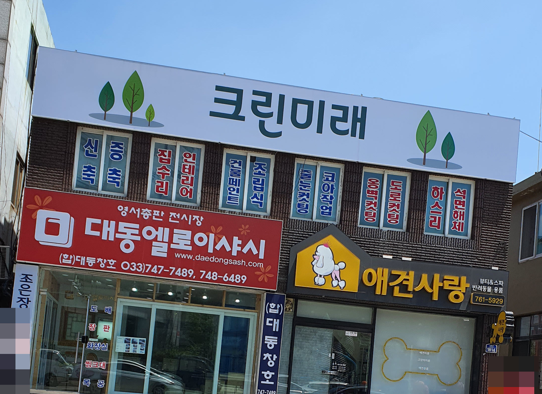크린미래