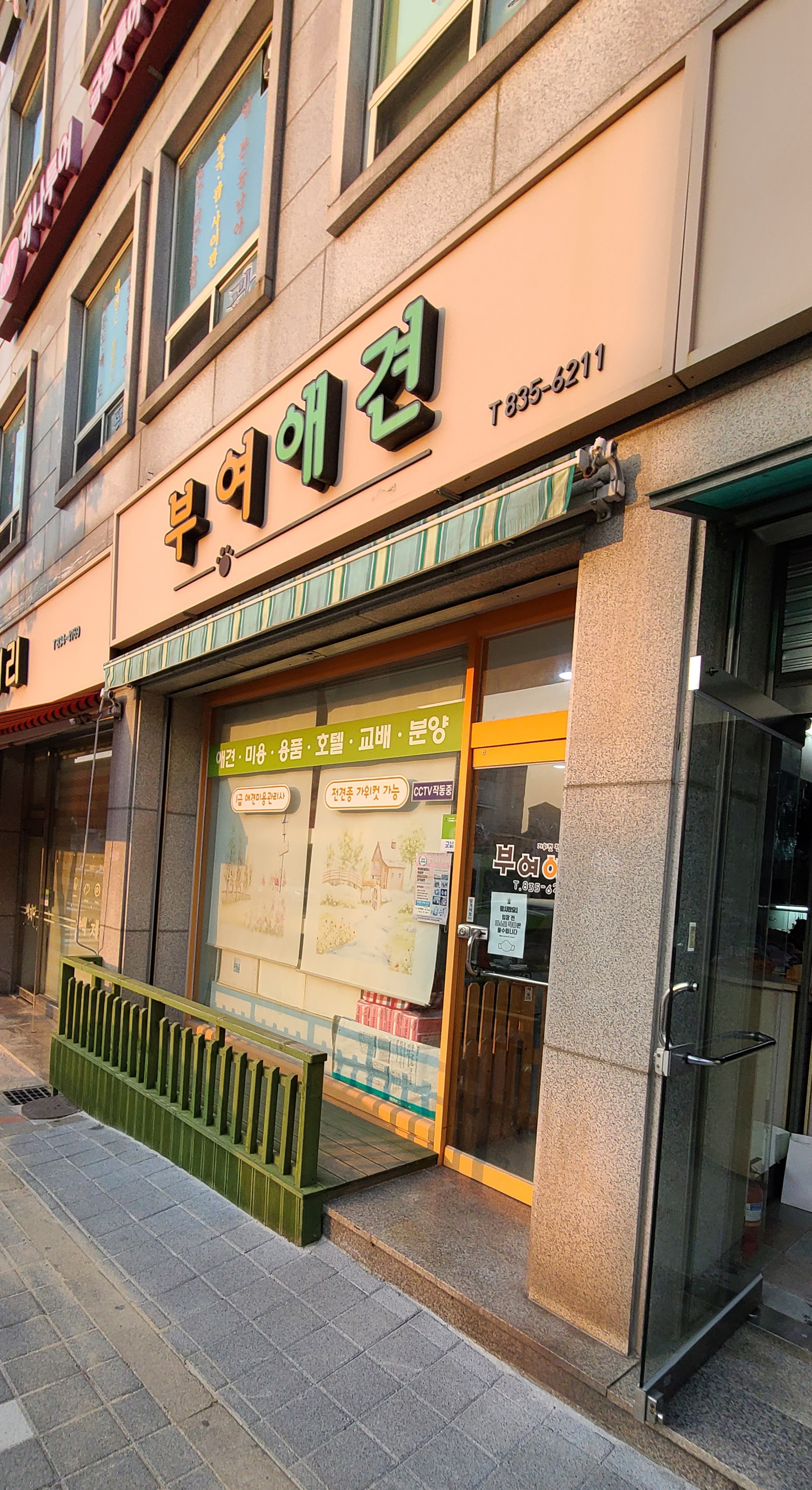 부여애견