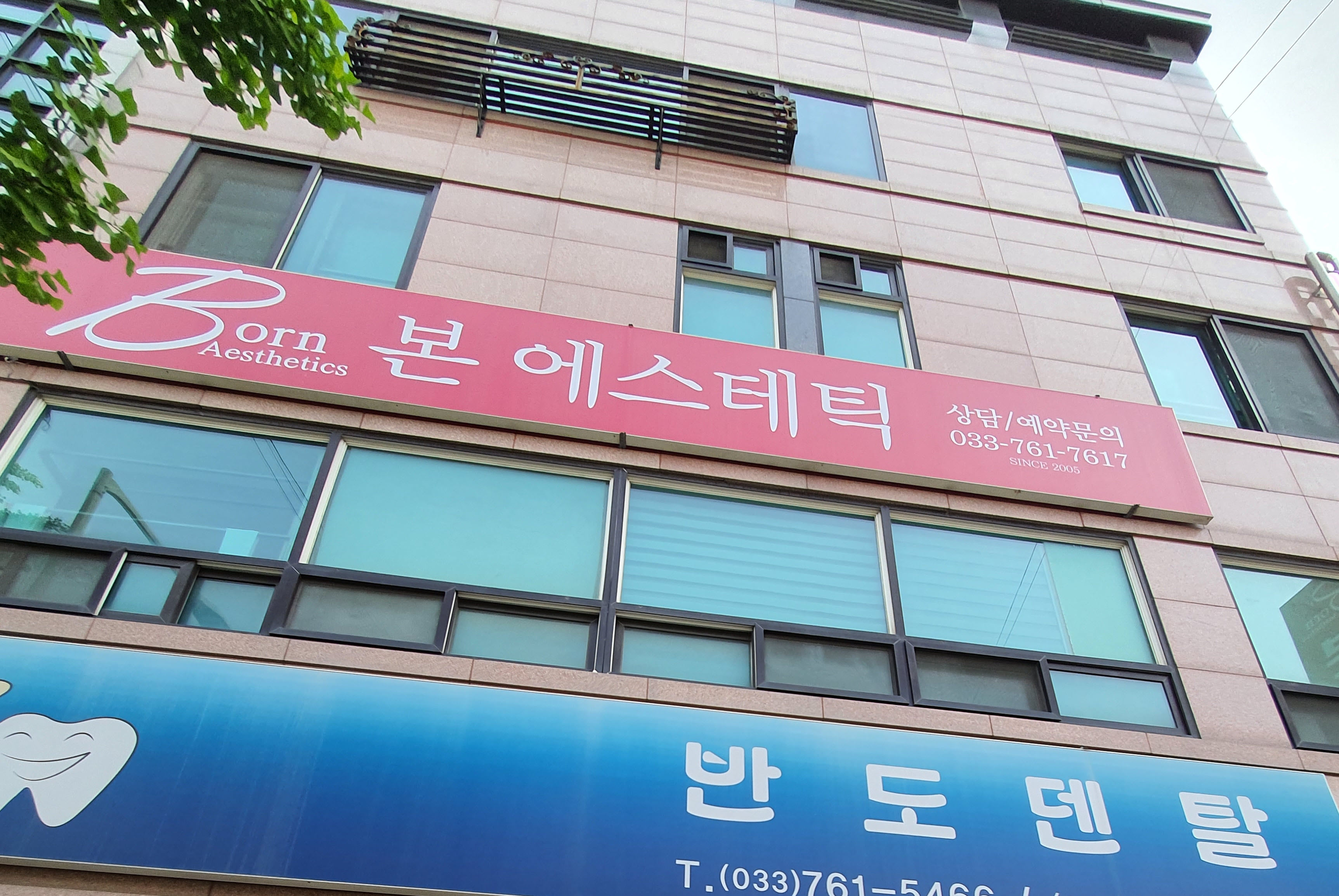 본에스테틱