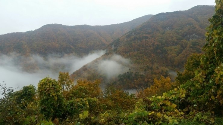 앤하우스 대표 이미지