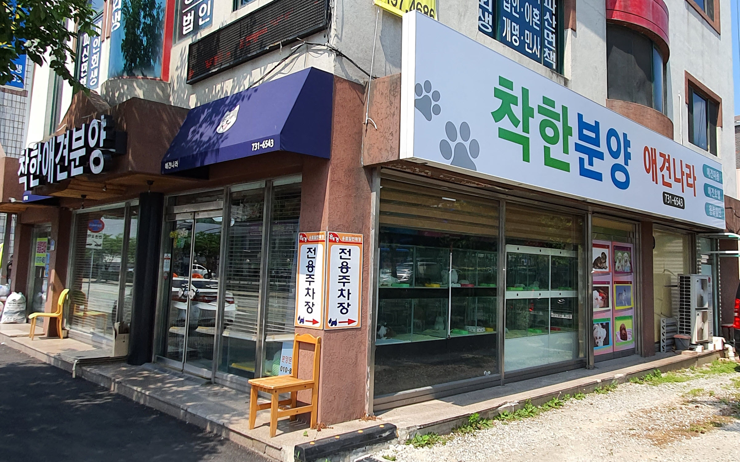 착한애견분양 원주점 대표 이미지