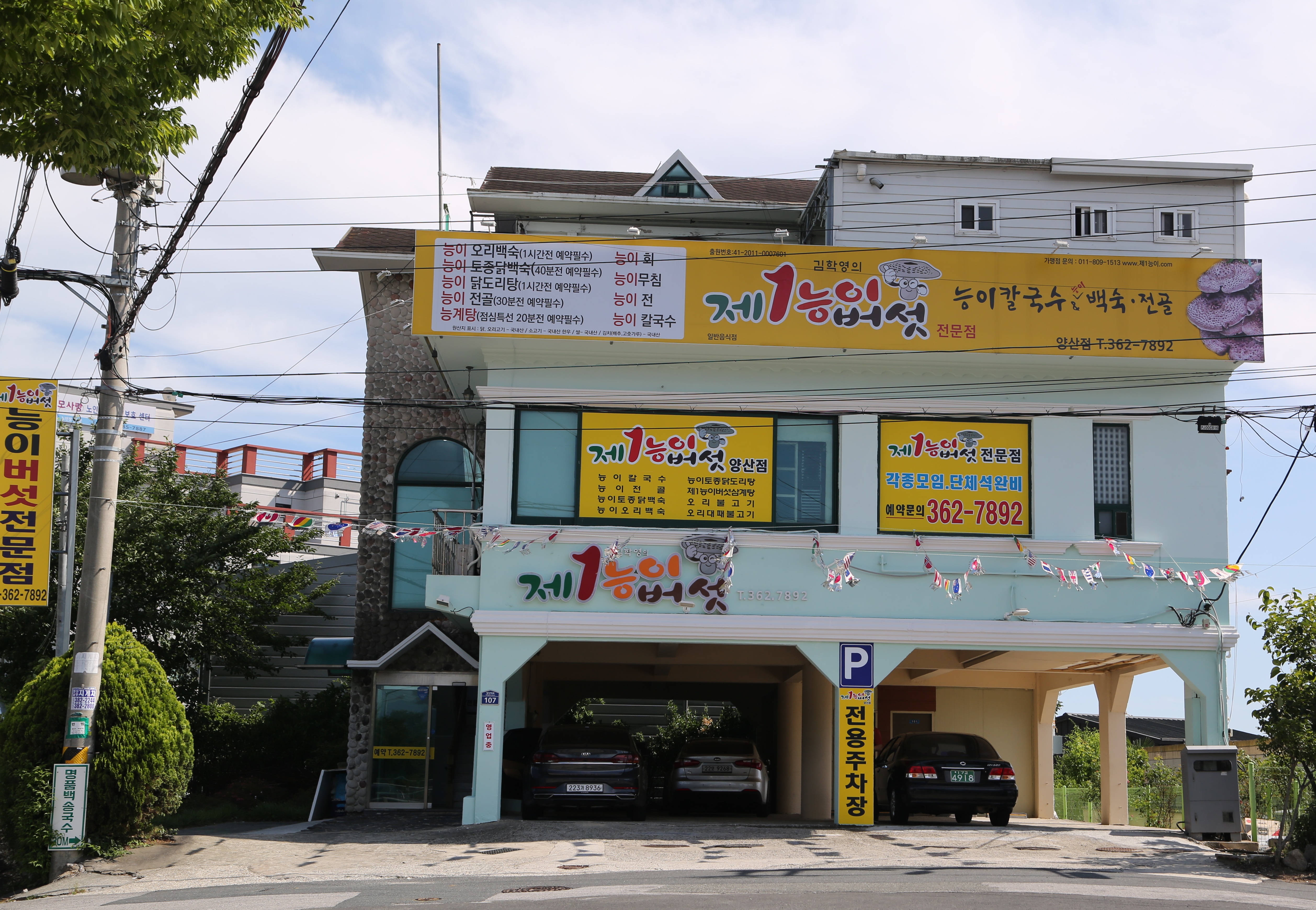 제1능이버섯
