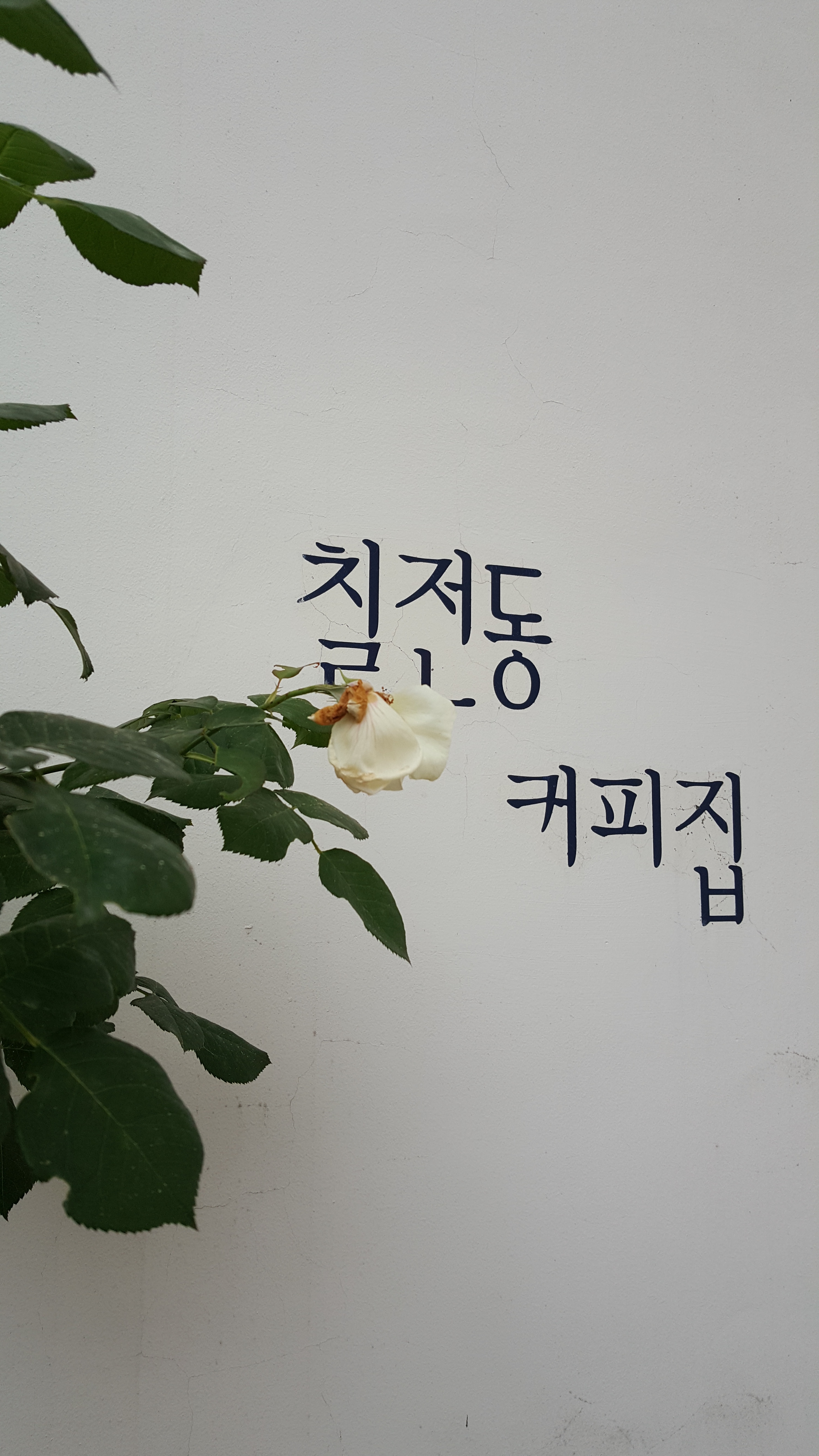 칠전동 커피집