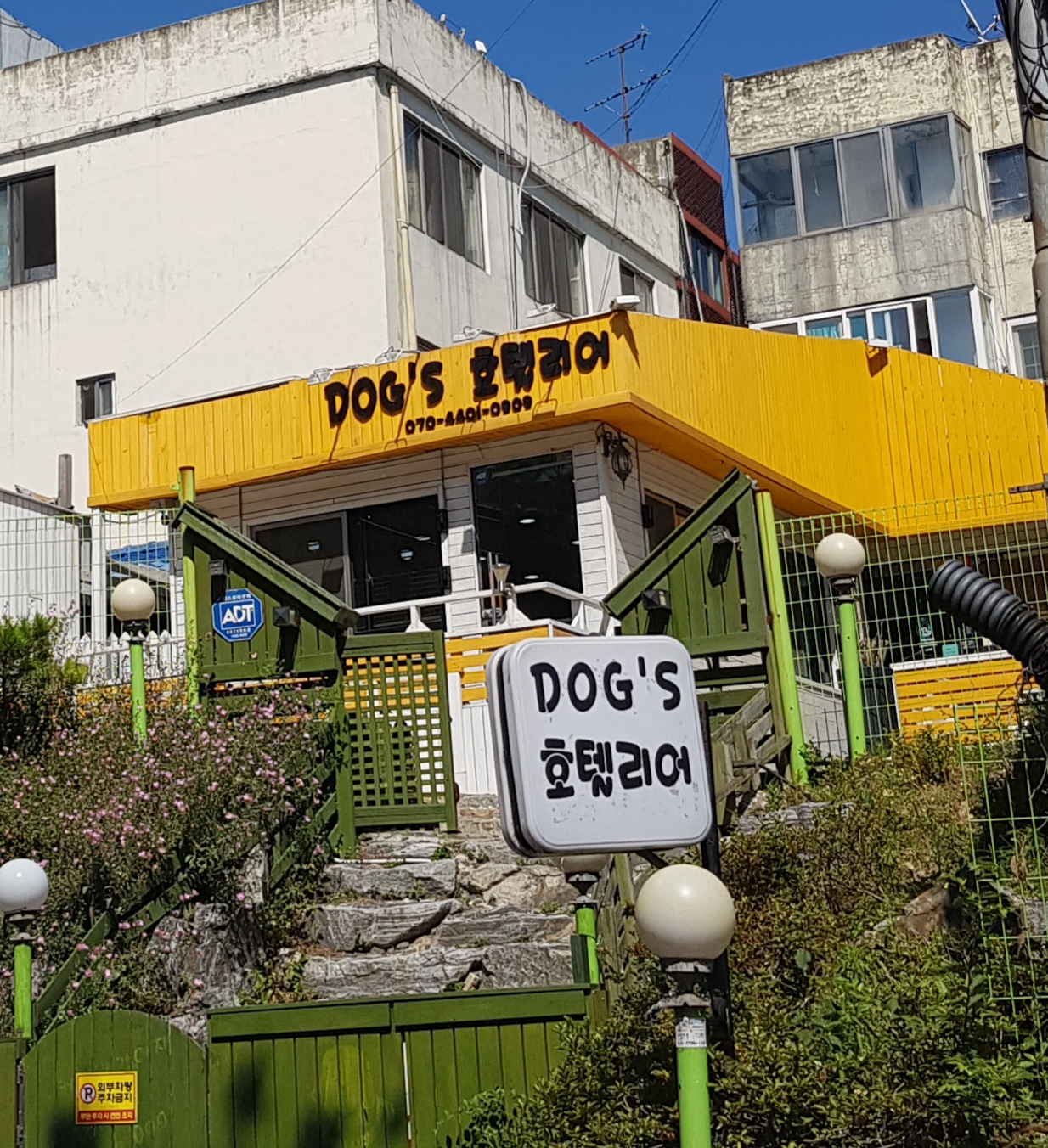 독스호텔리어 반려동물 동반 숙소