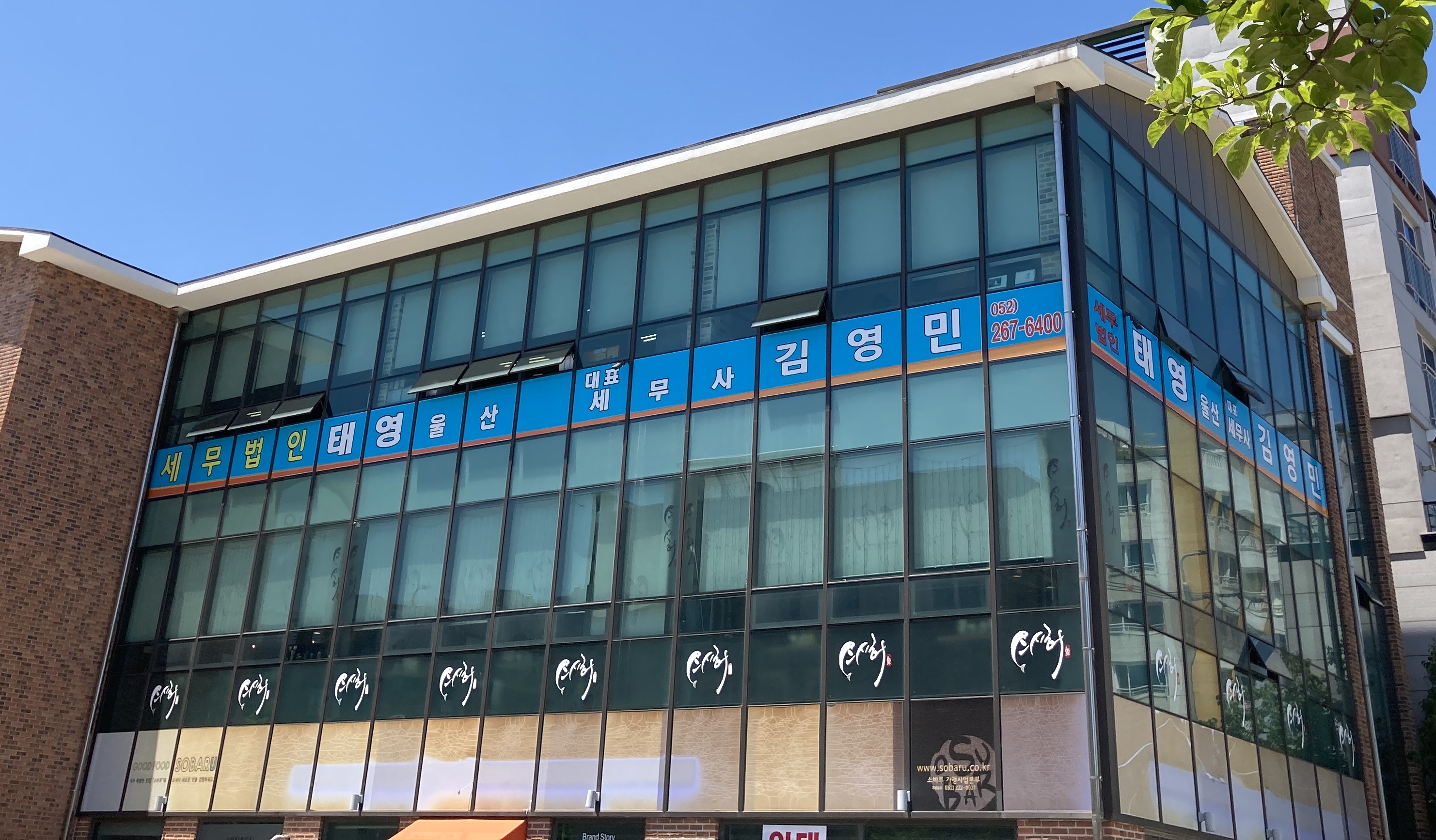 세무법인태영 울산지점 대표 이미지