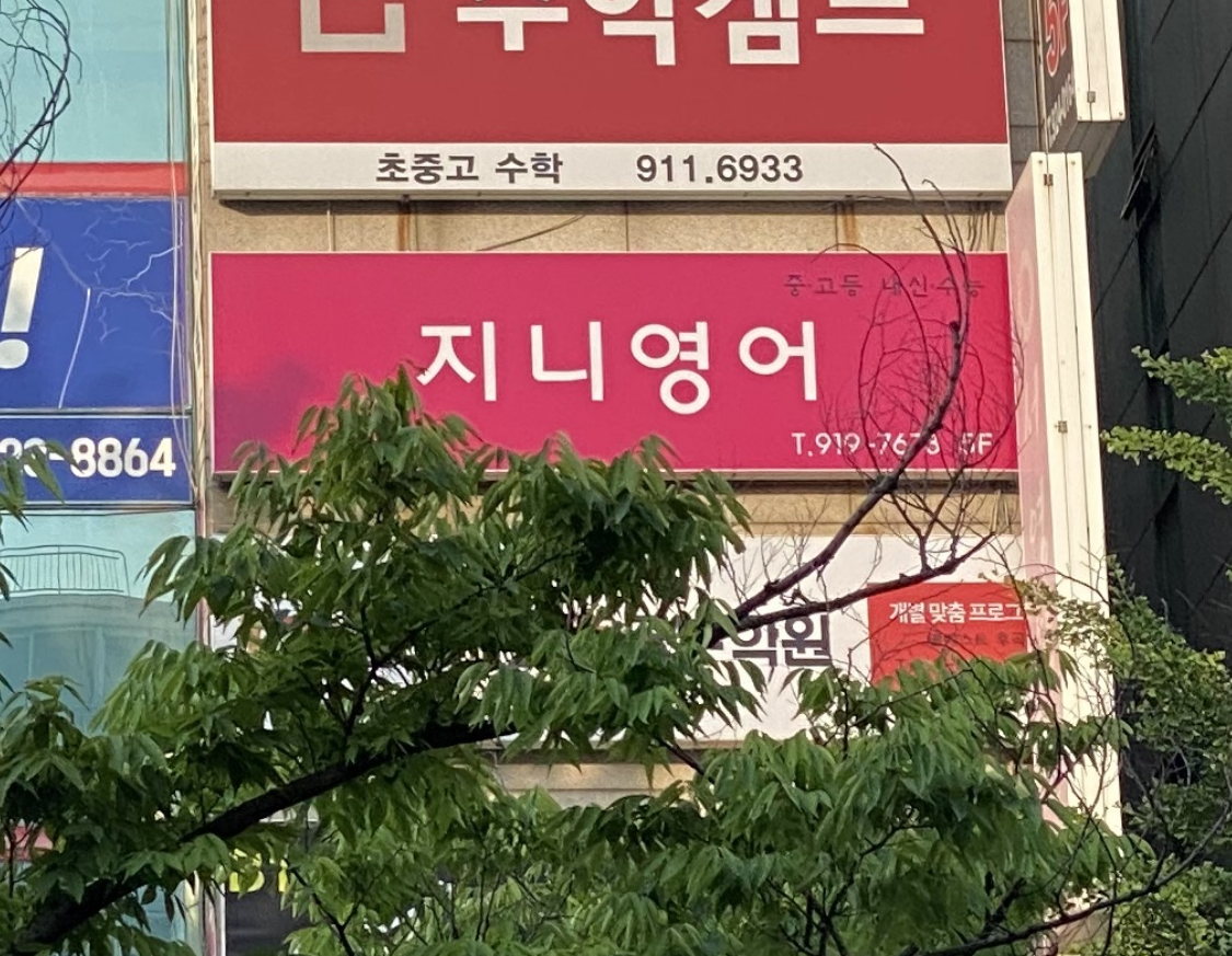 지니 영어