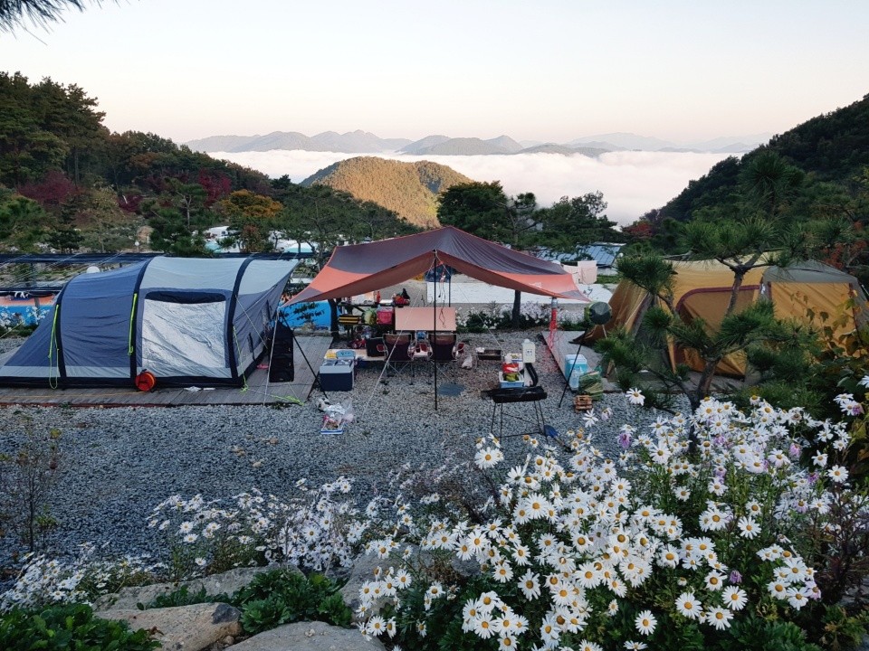 로하스캠핑