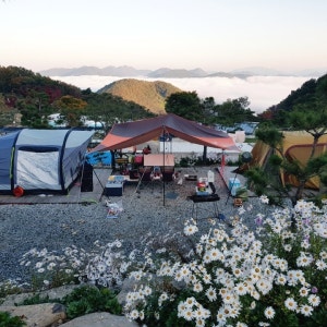 로하스캠핑