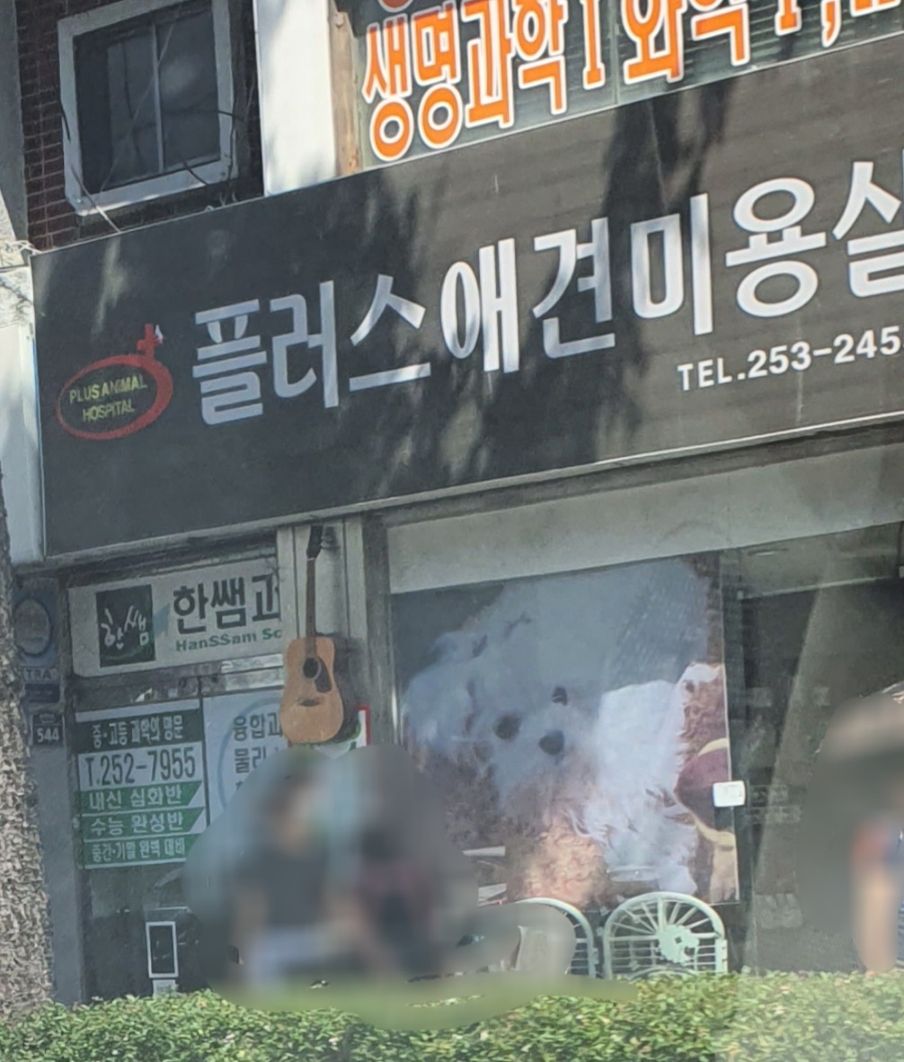 플러스애견미용실 대표 이미지