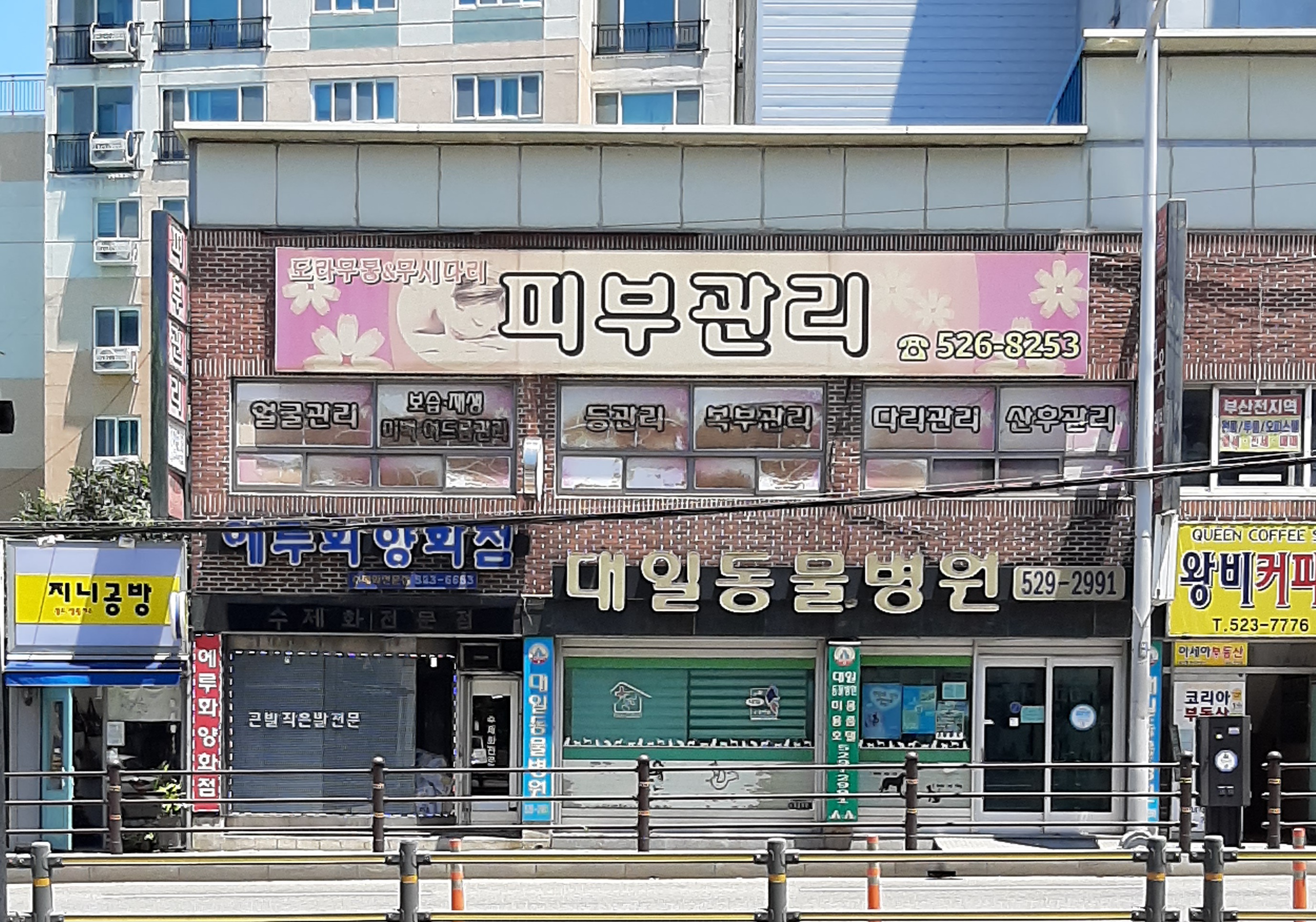 도라무통&무시다리