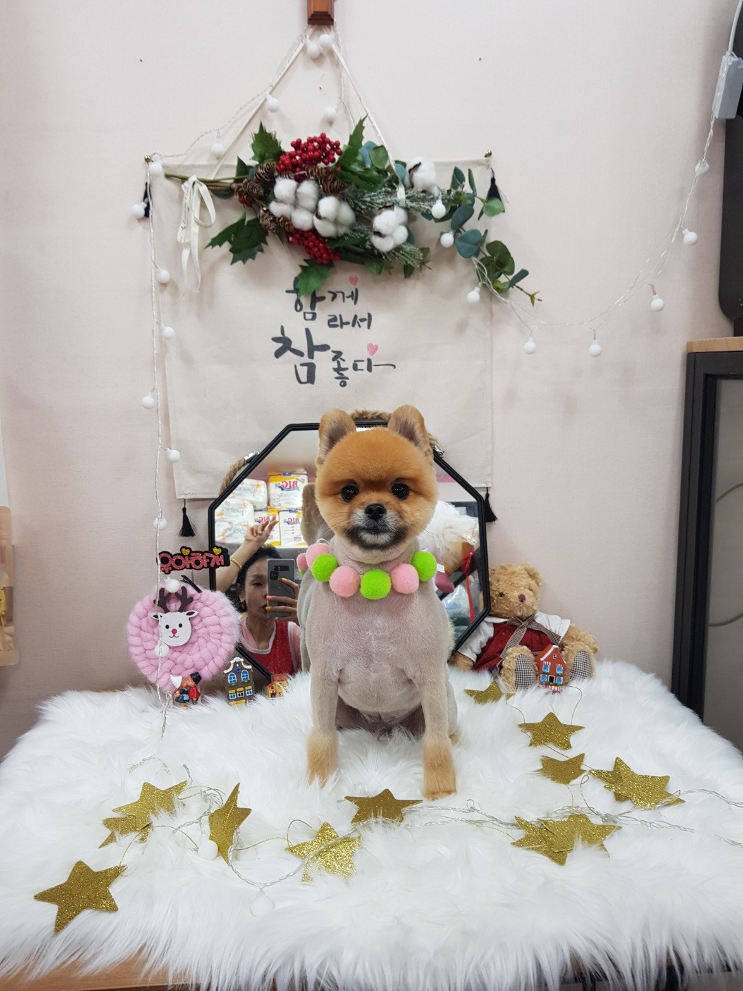 우아하개 대표 이미지
