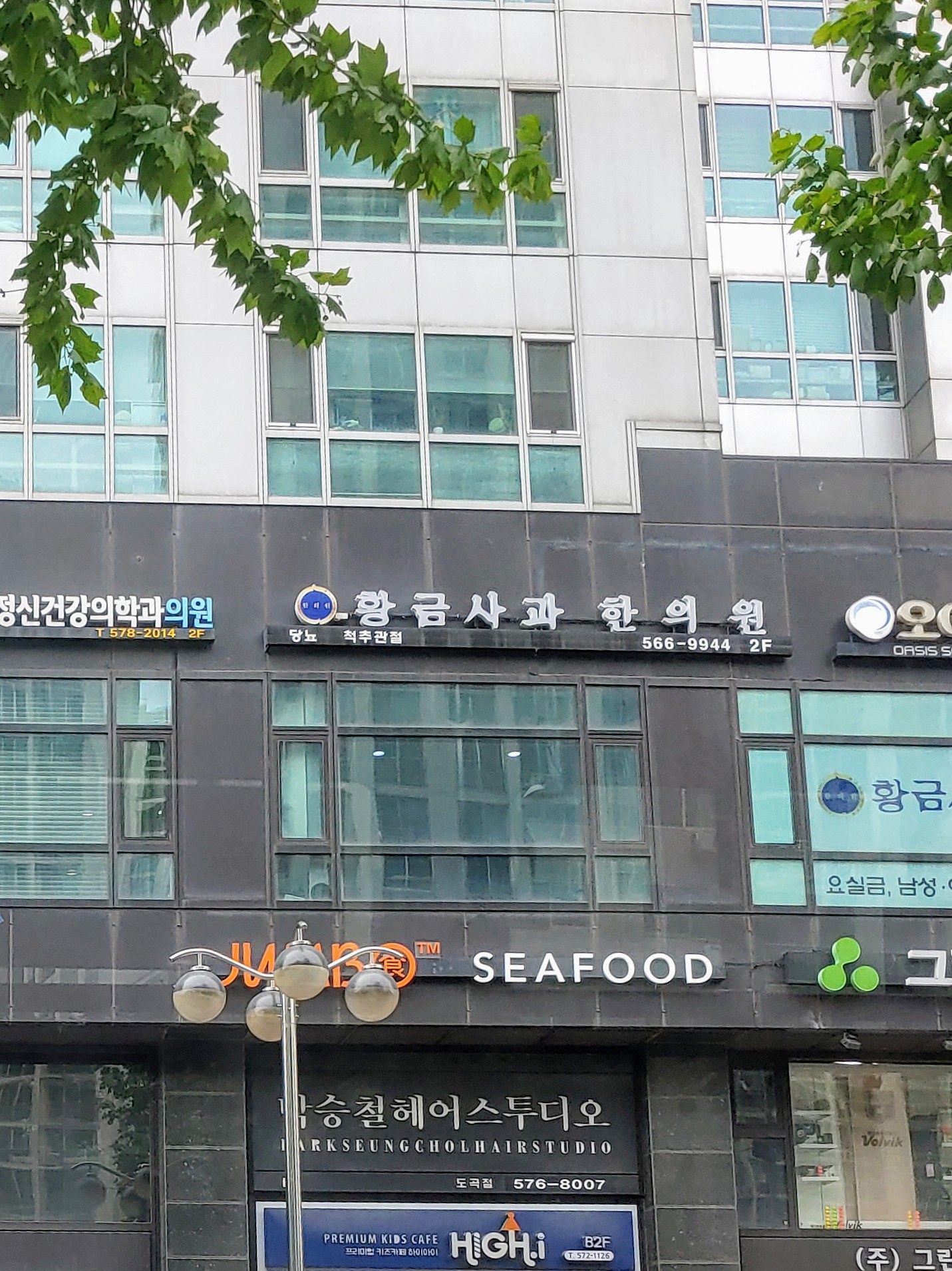 황금사과한의원