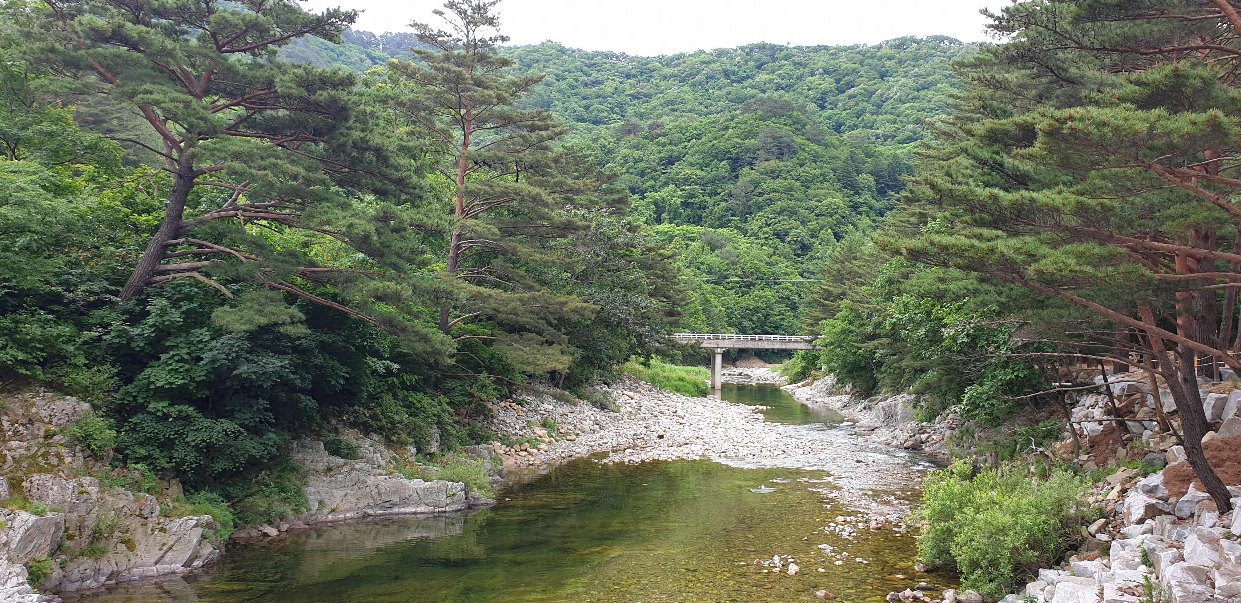 샘골솔밭야영장
