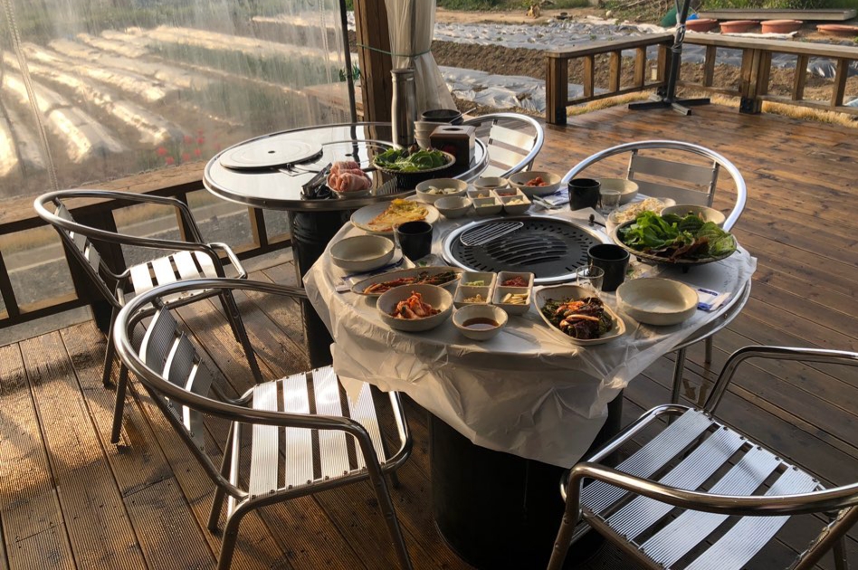 꼬리치는아나고