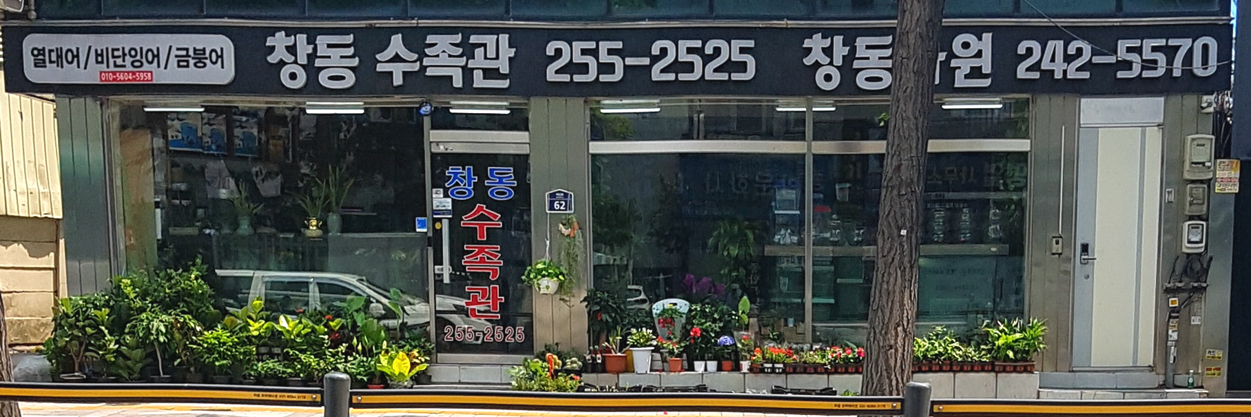 창동수족관